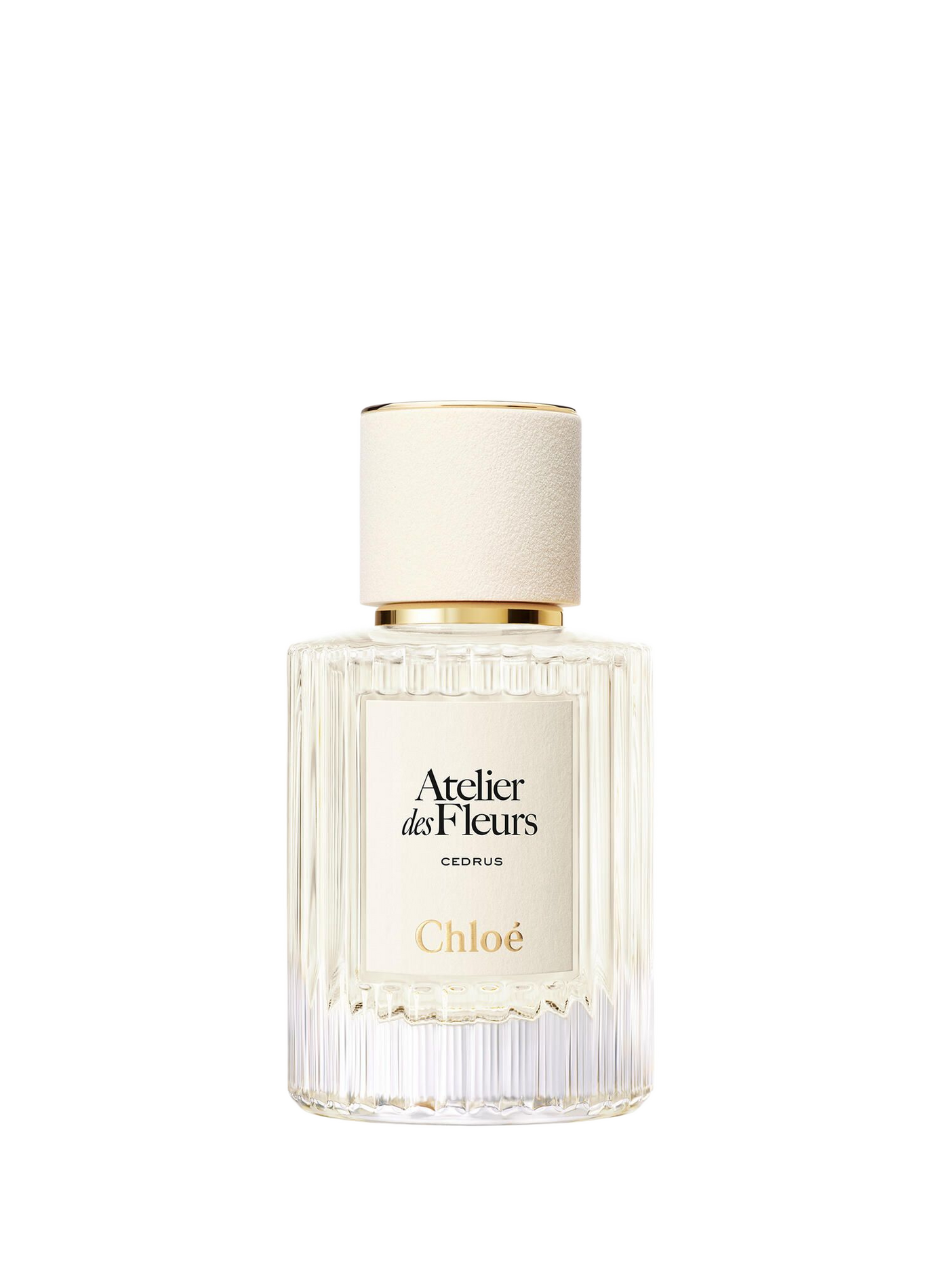 Chloé Atelier des Fleurs - Cedrus - Eau de Parfum CHLOE ATELIER DES FLEURS No color