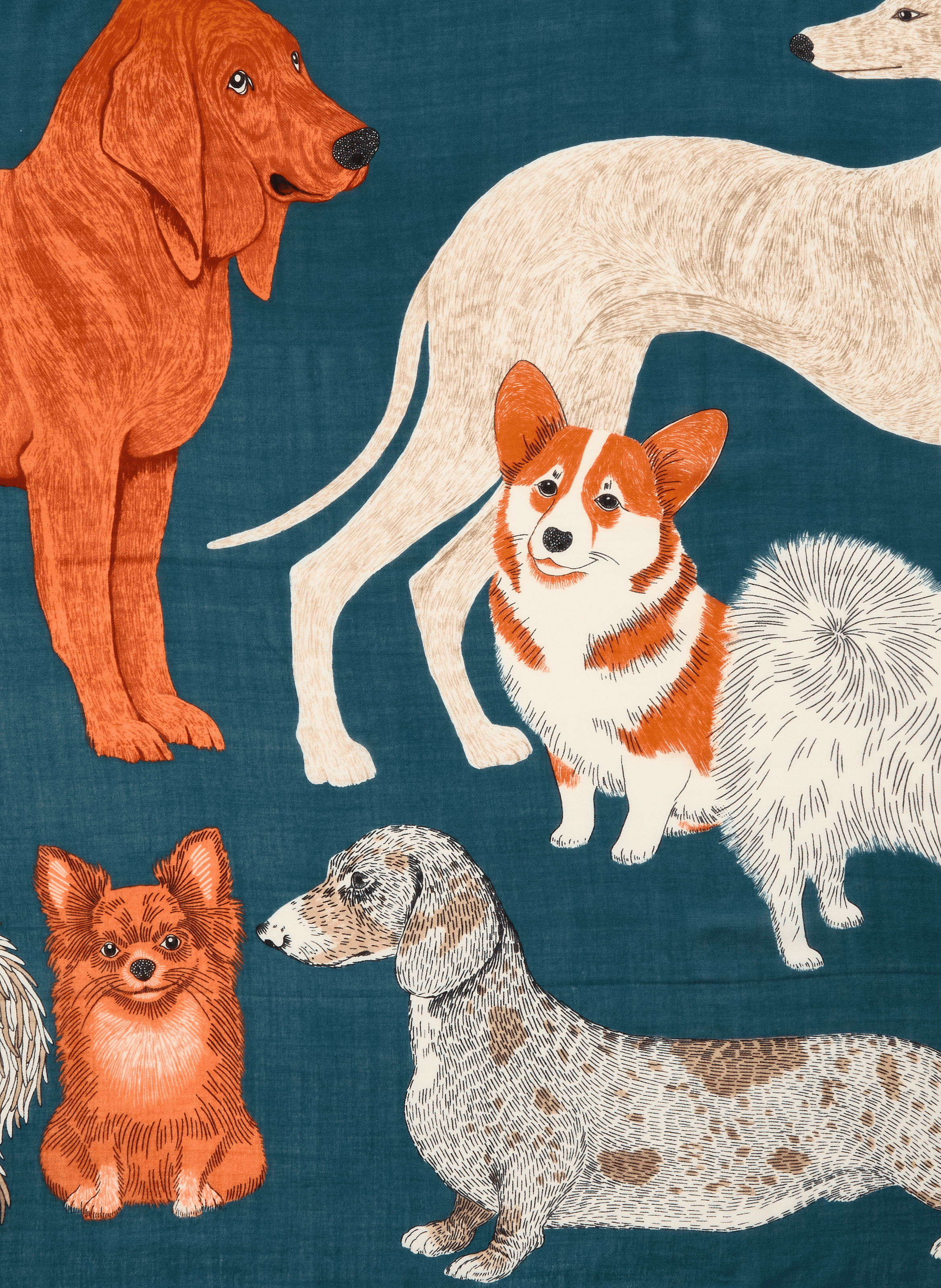 Écharpe à imprimé en laine INOUITOOSH Multicolore