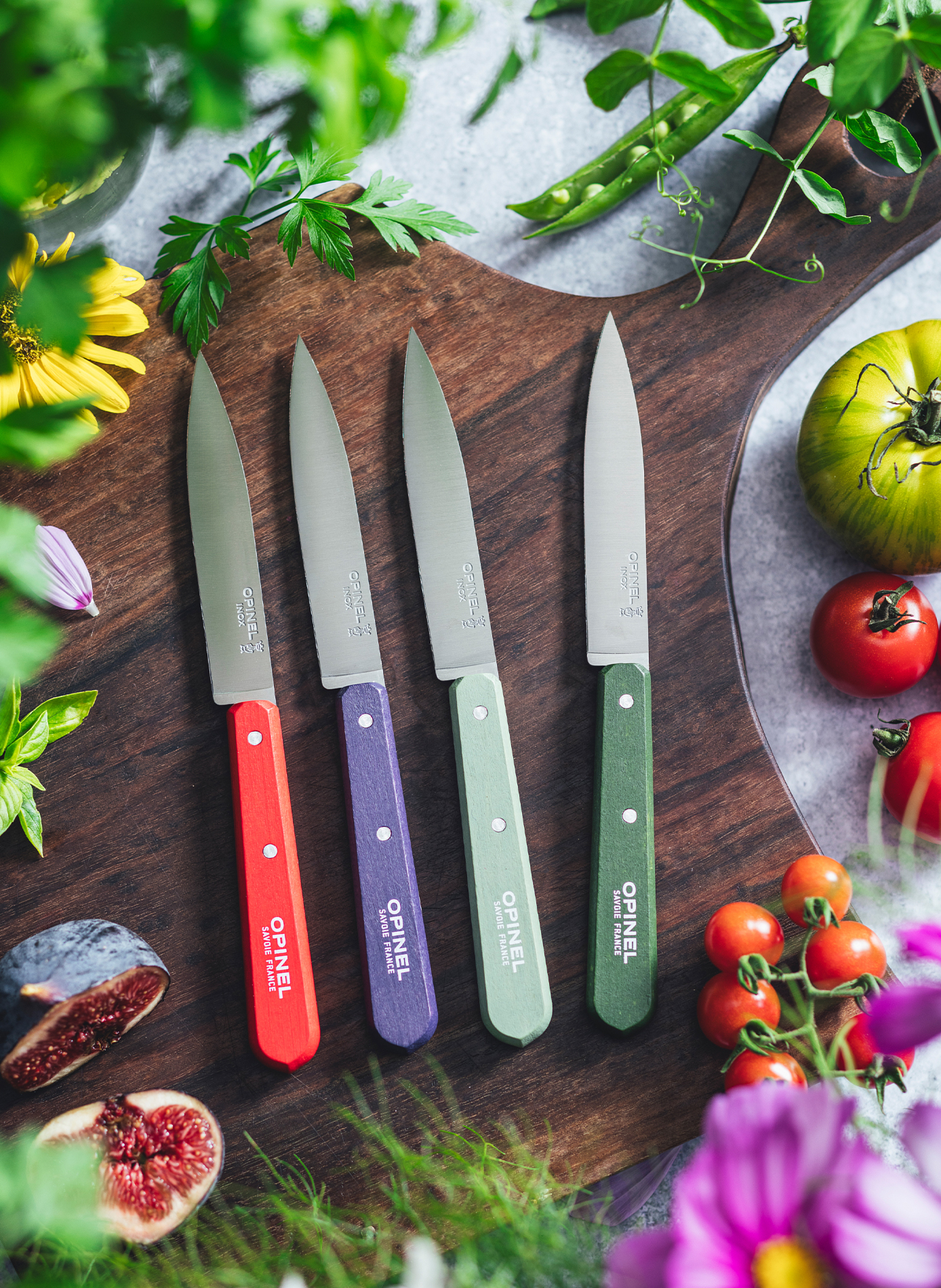 Coffret de 4 couteaux d'office OPINEL Multicolore