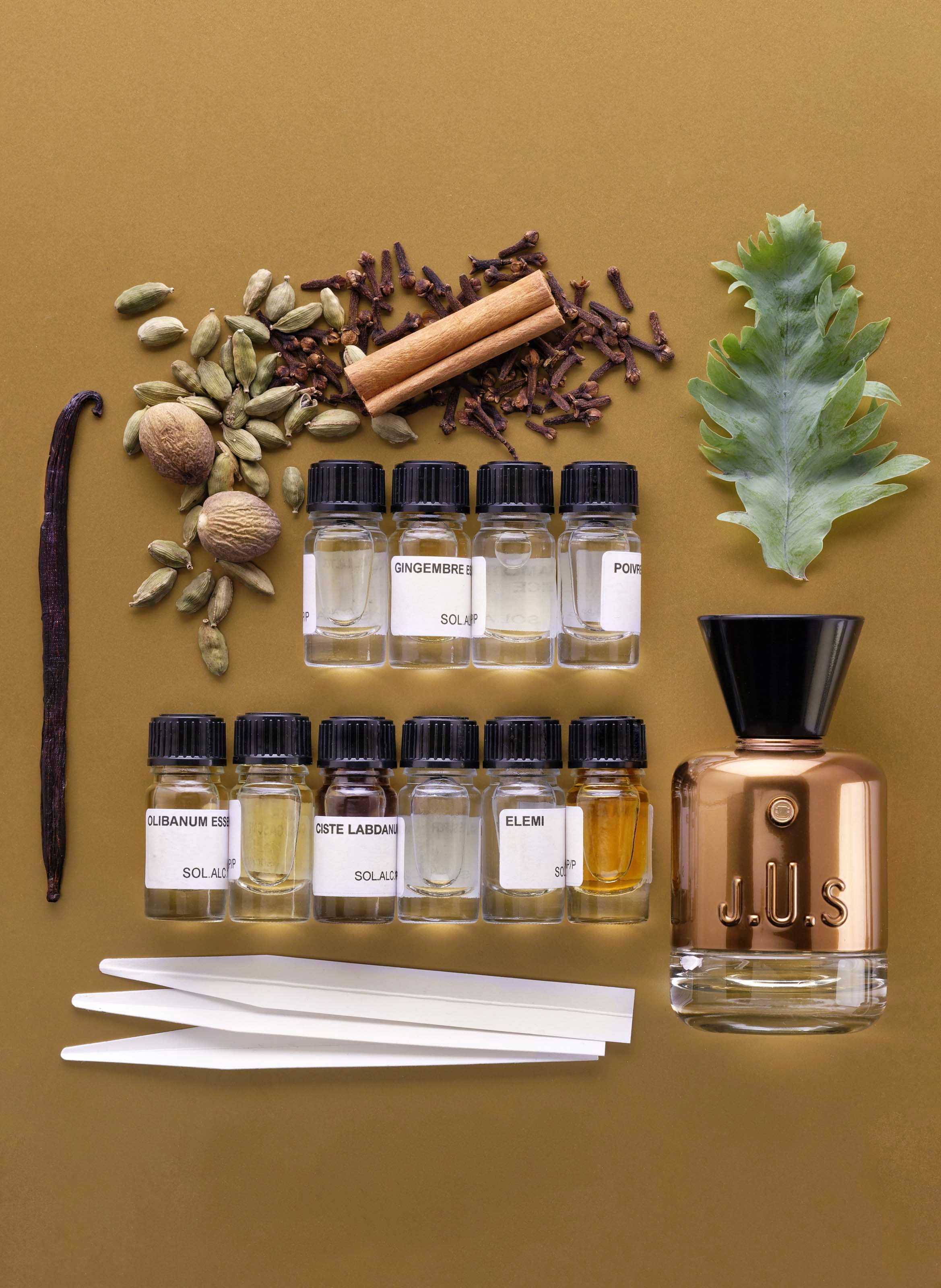 Spicydelice perfume J.U.S No color