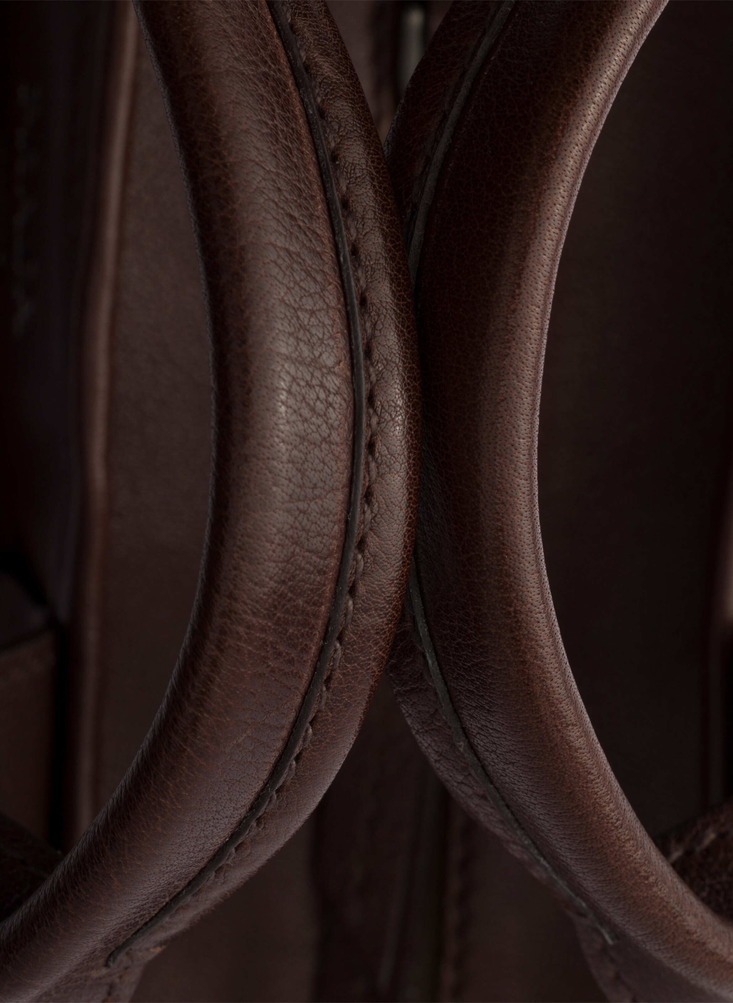 Cabas en cuir prada route Marron