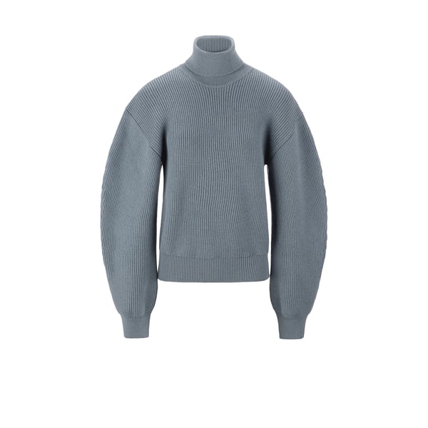 Pull col roulé en laine