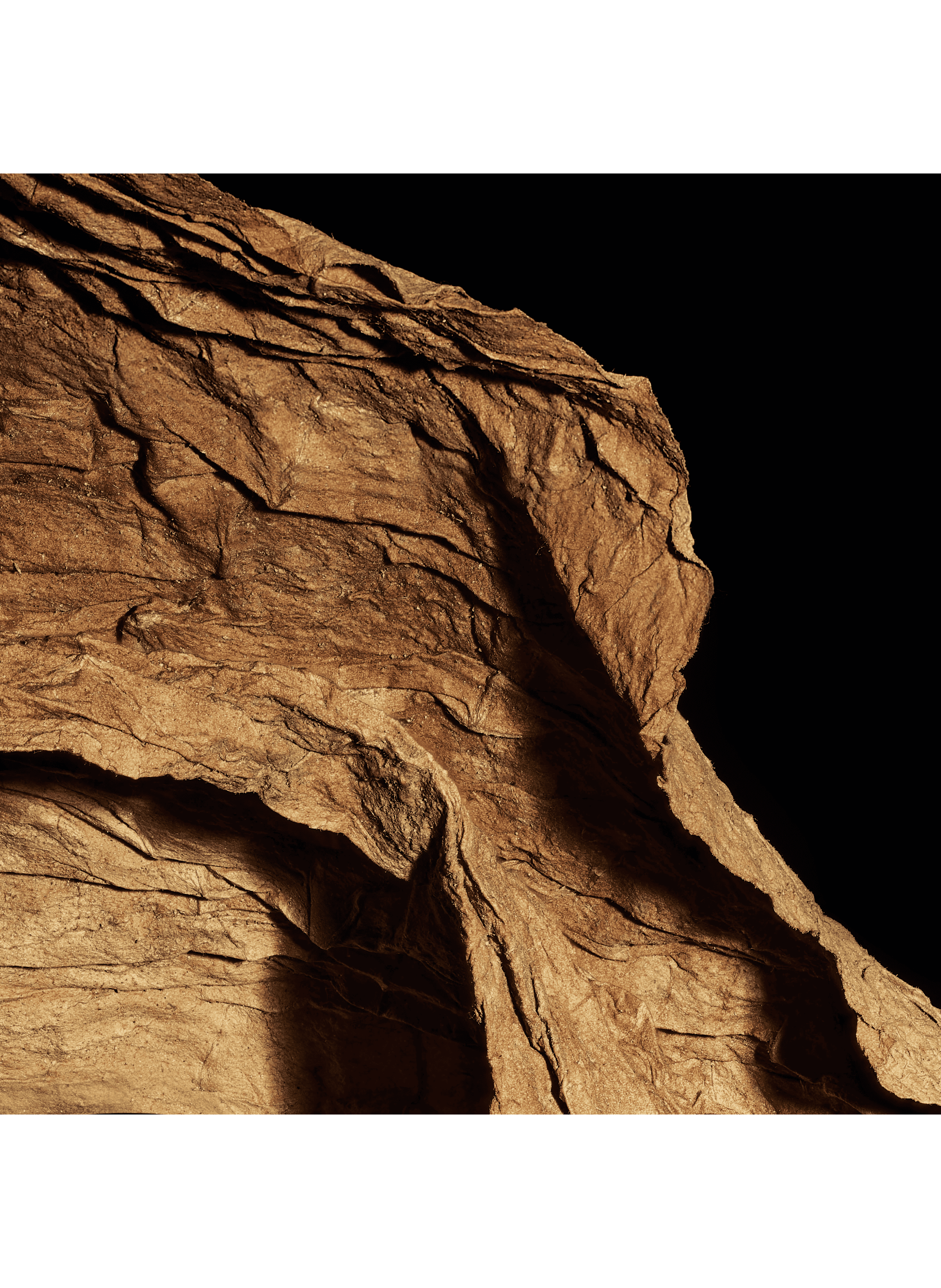 New York - The Wardrobe of Fragrances - Scented Candle No color