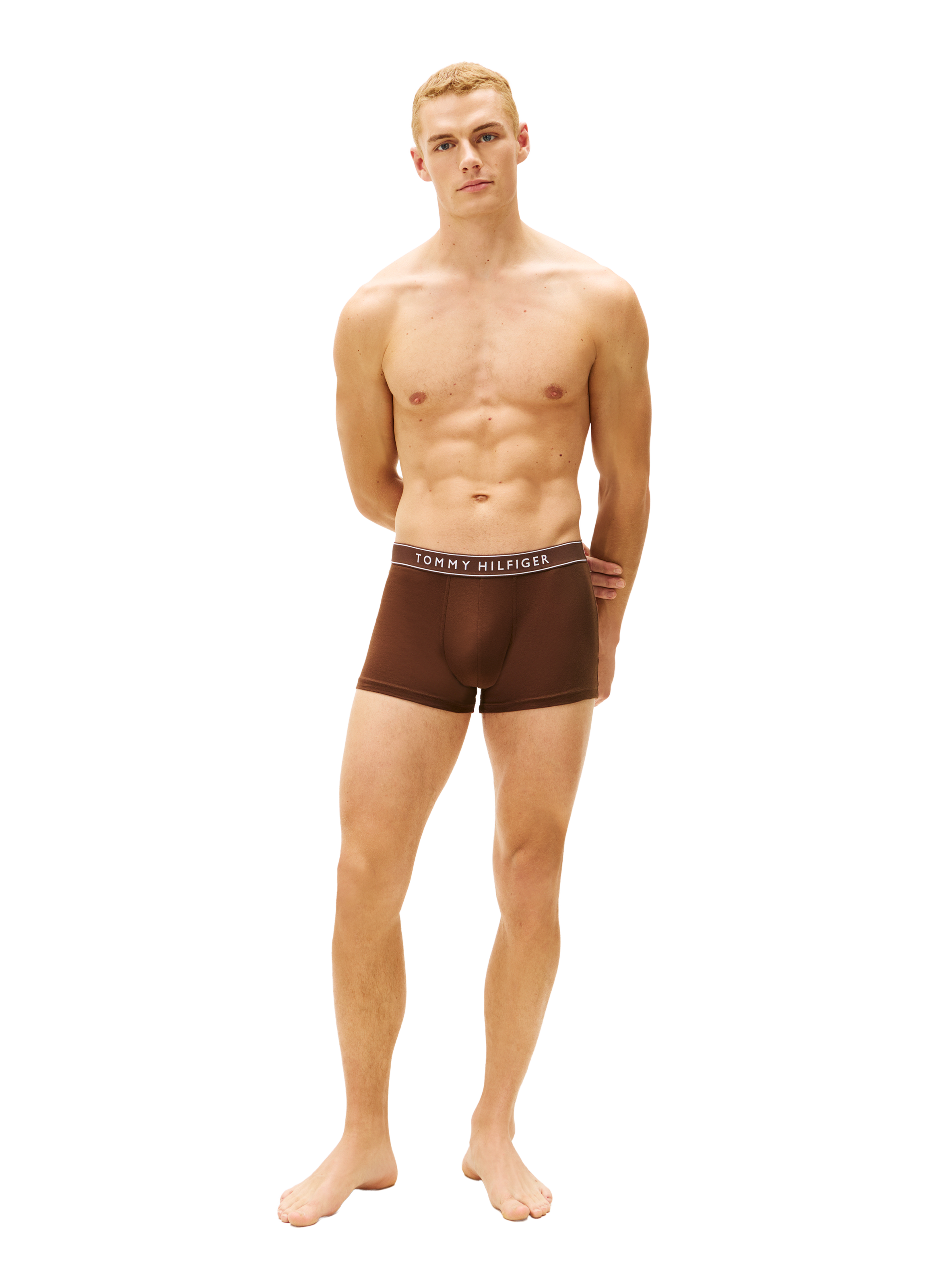 Lot de 5 boxers en coton mélangé TOMMY HILFIGER Multicolore