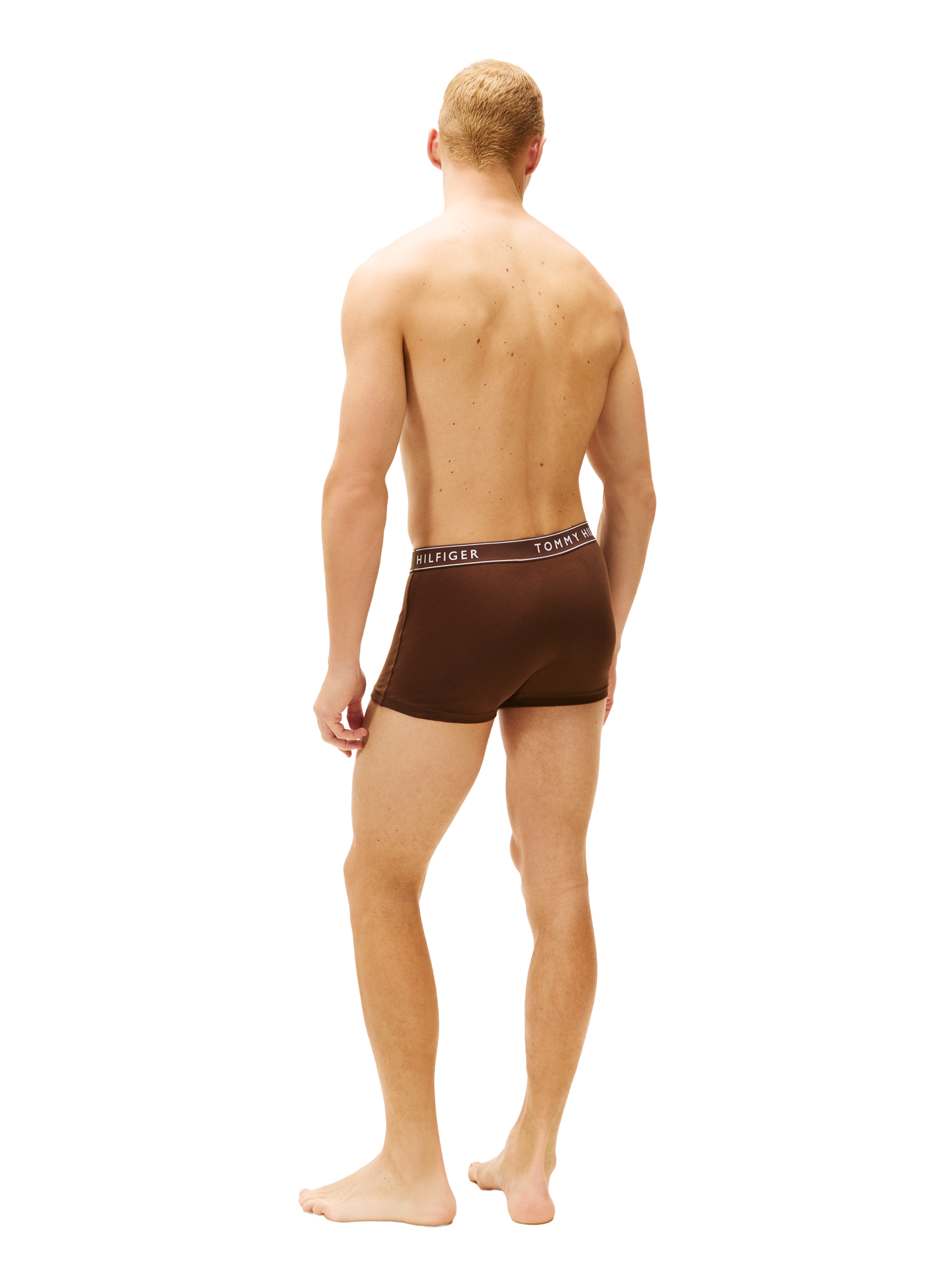 Lot de 5 boxers en coton mélangé TOMMY HILFIGER Multicolore