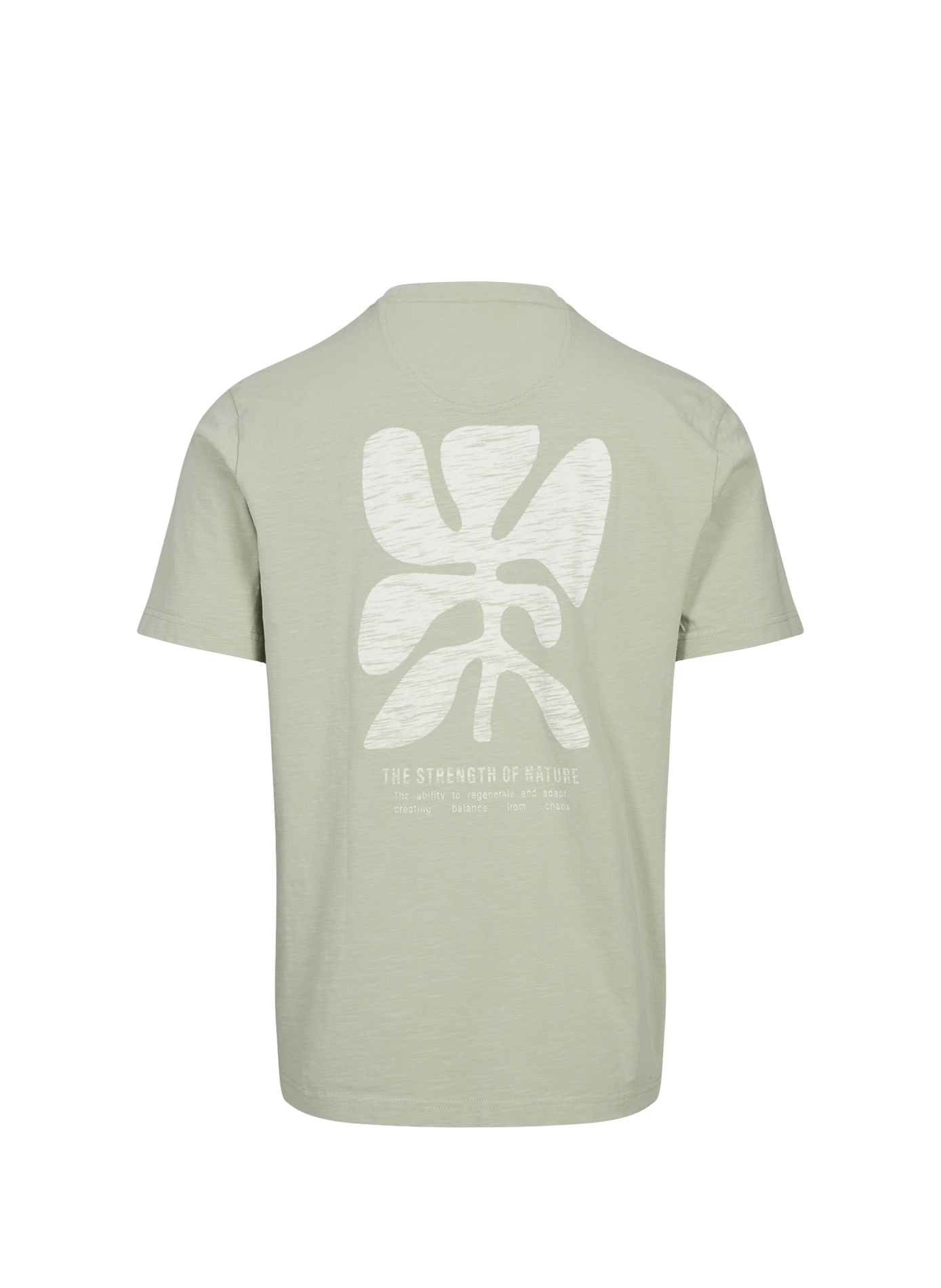 Slim Fit Baumwoll-T-Shirt PIERRE CARDIN Grun