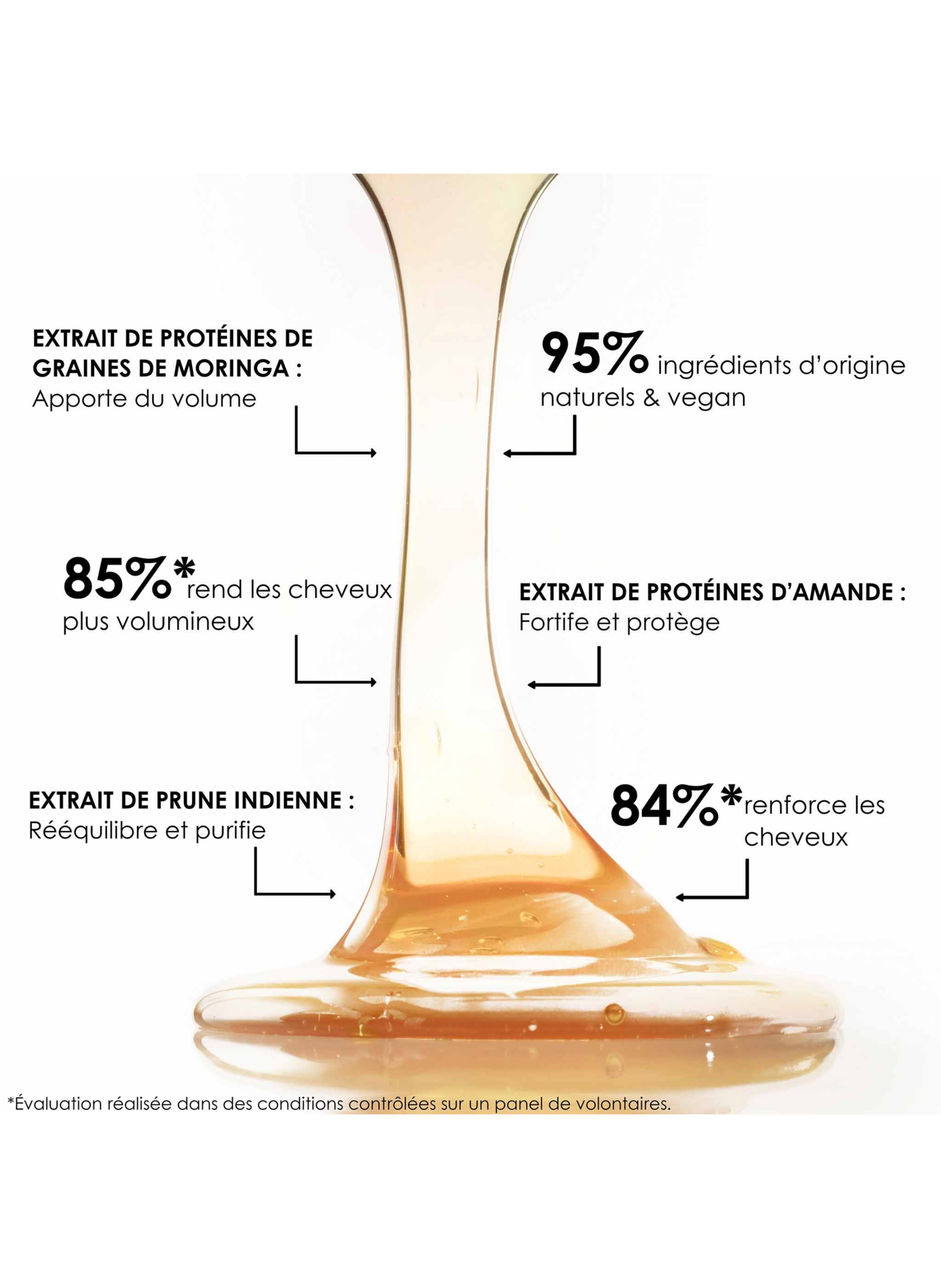 Shampooing Énergisant LEONOR GREYL No color