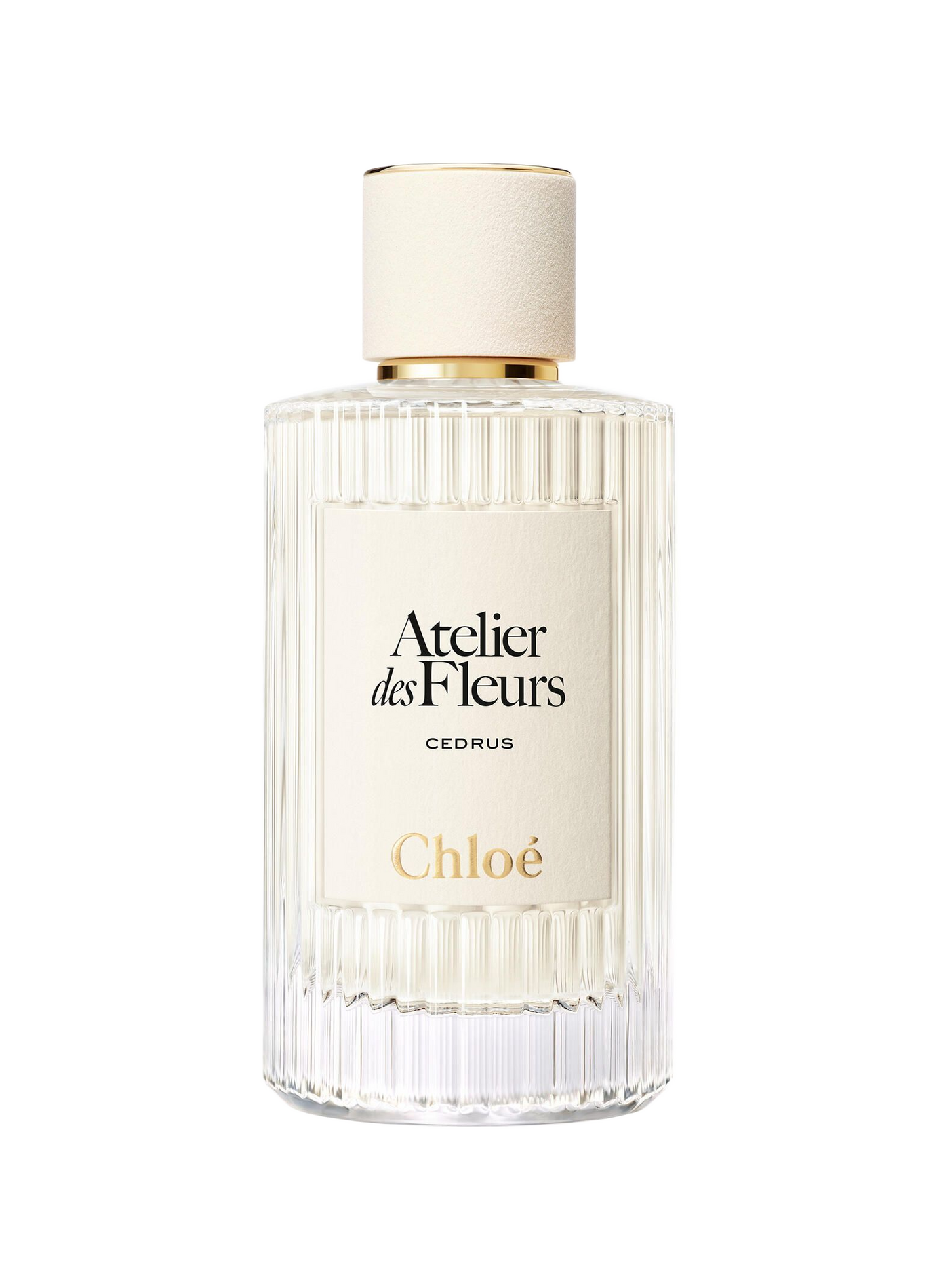 Chloé Atelier des Fleurs - Cedrus - Eau de Parfum CHLOE ATELIER DES FLEURS No color