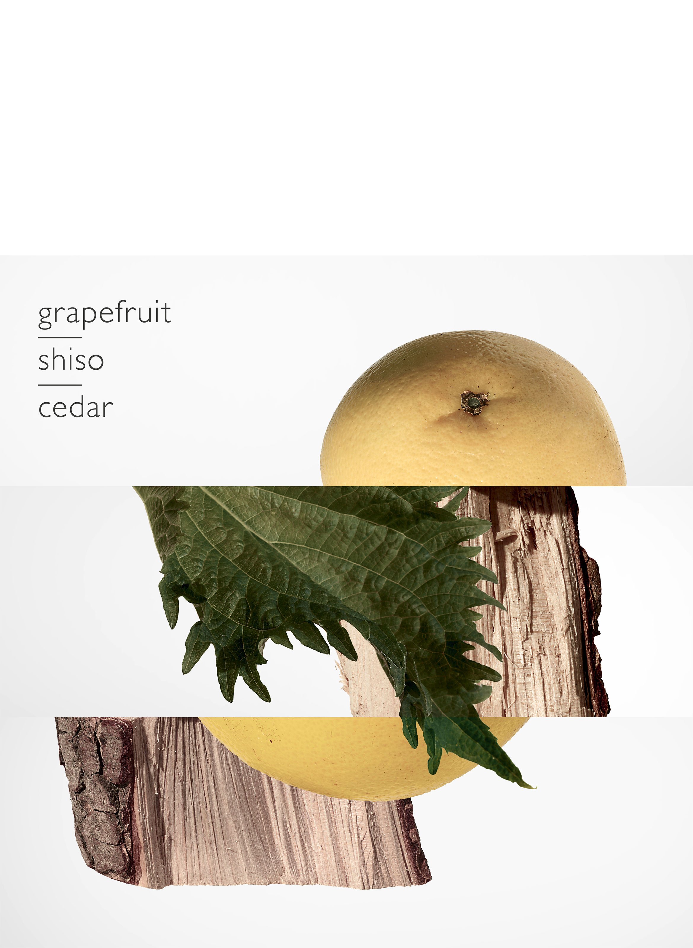 Terre d'Hermès, Recharge Parfum 125 ml HERMÈS No color