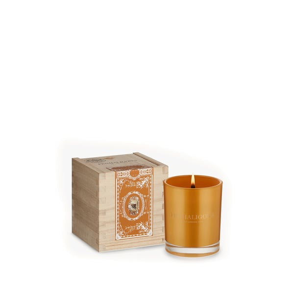 Bougie medium Calisaya bark