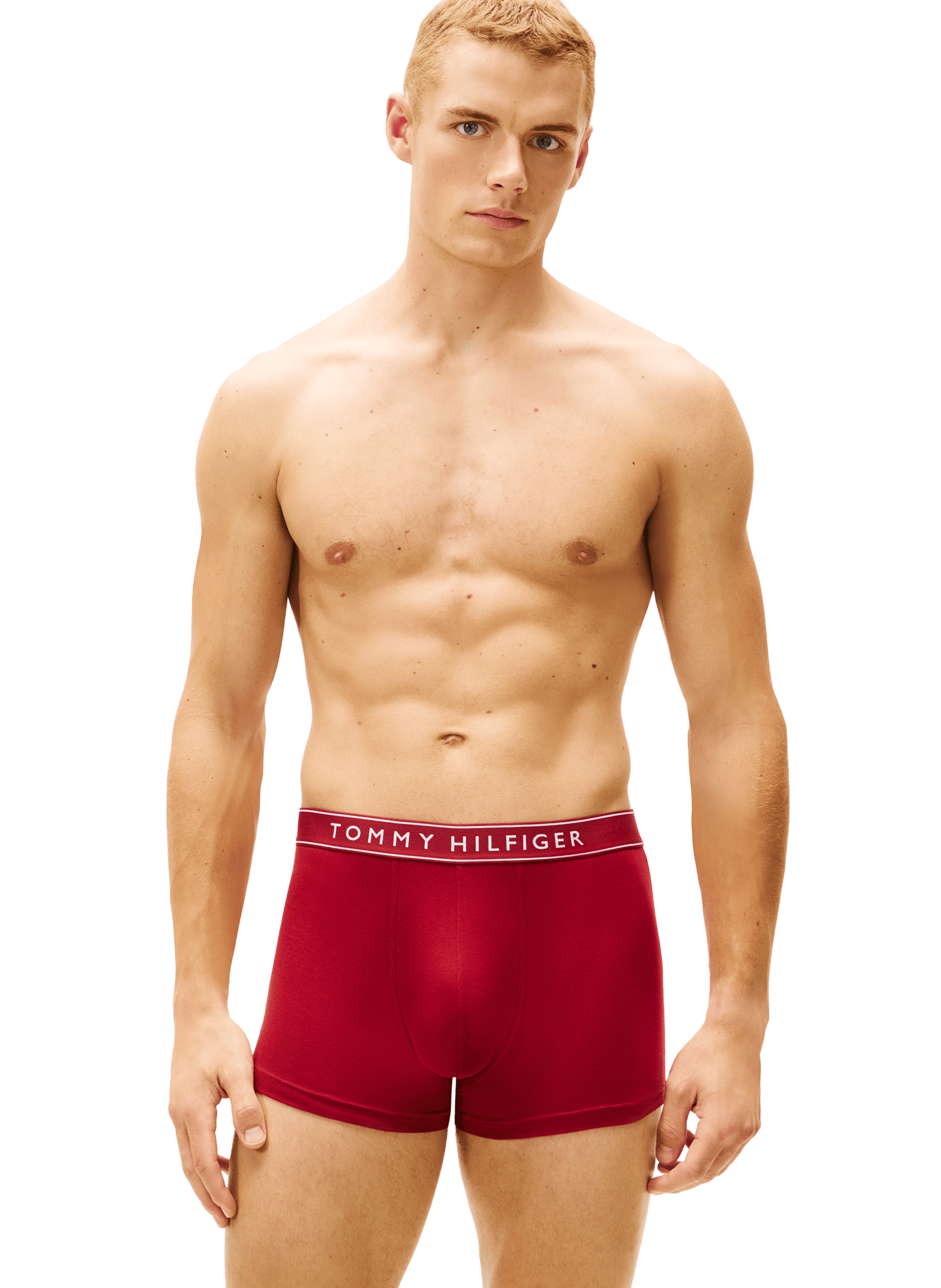 Lot de 5 boxers en coton mélangé TOMMY HILFIGER Multicolore
