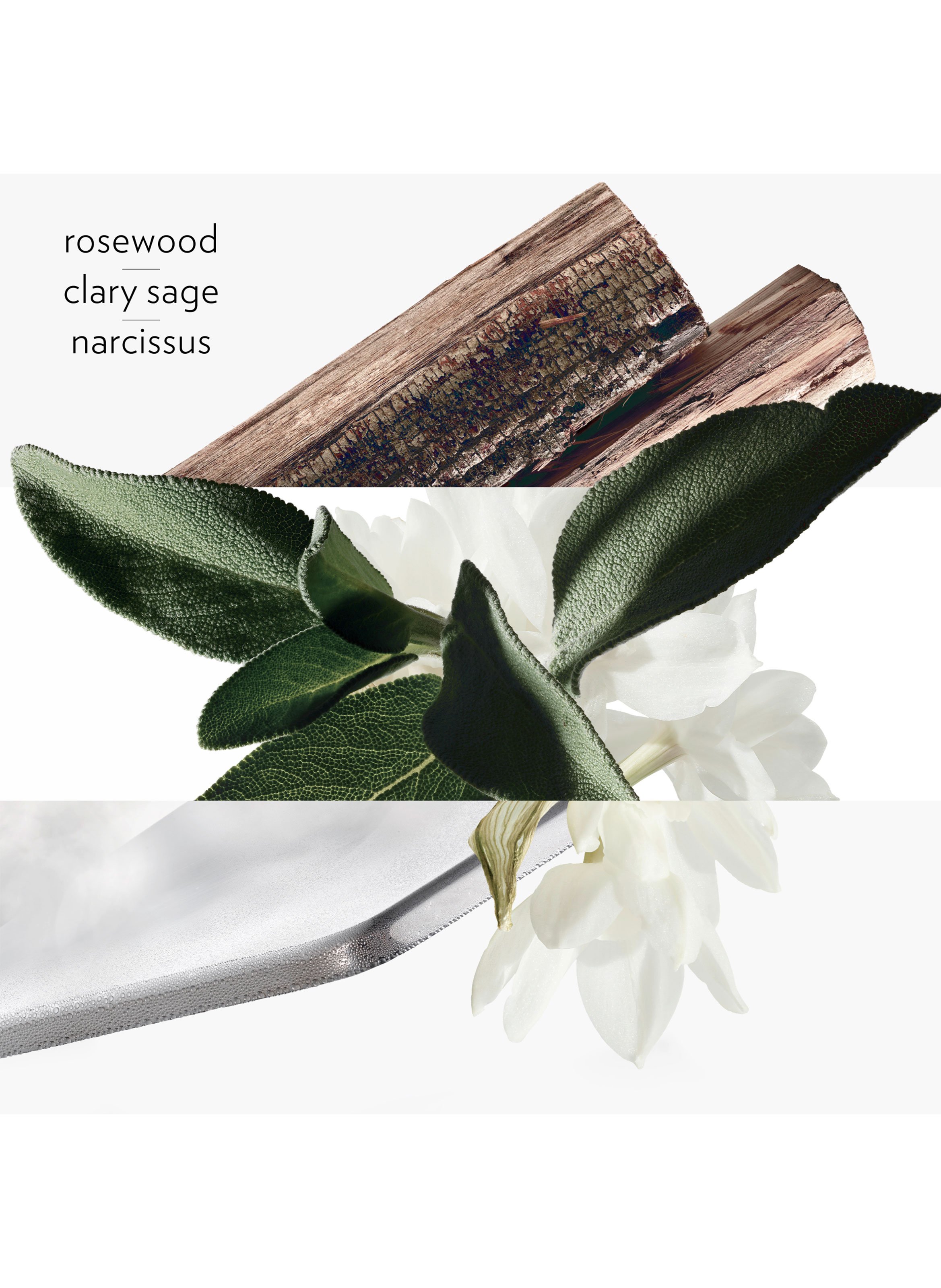 H24 deodorant stick No color