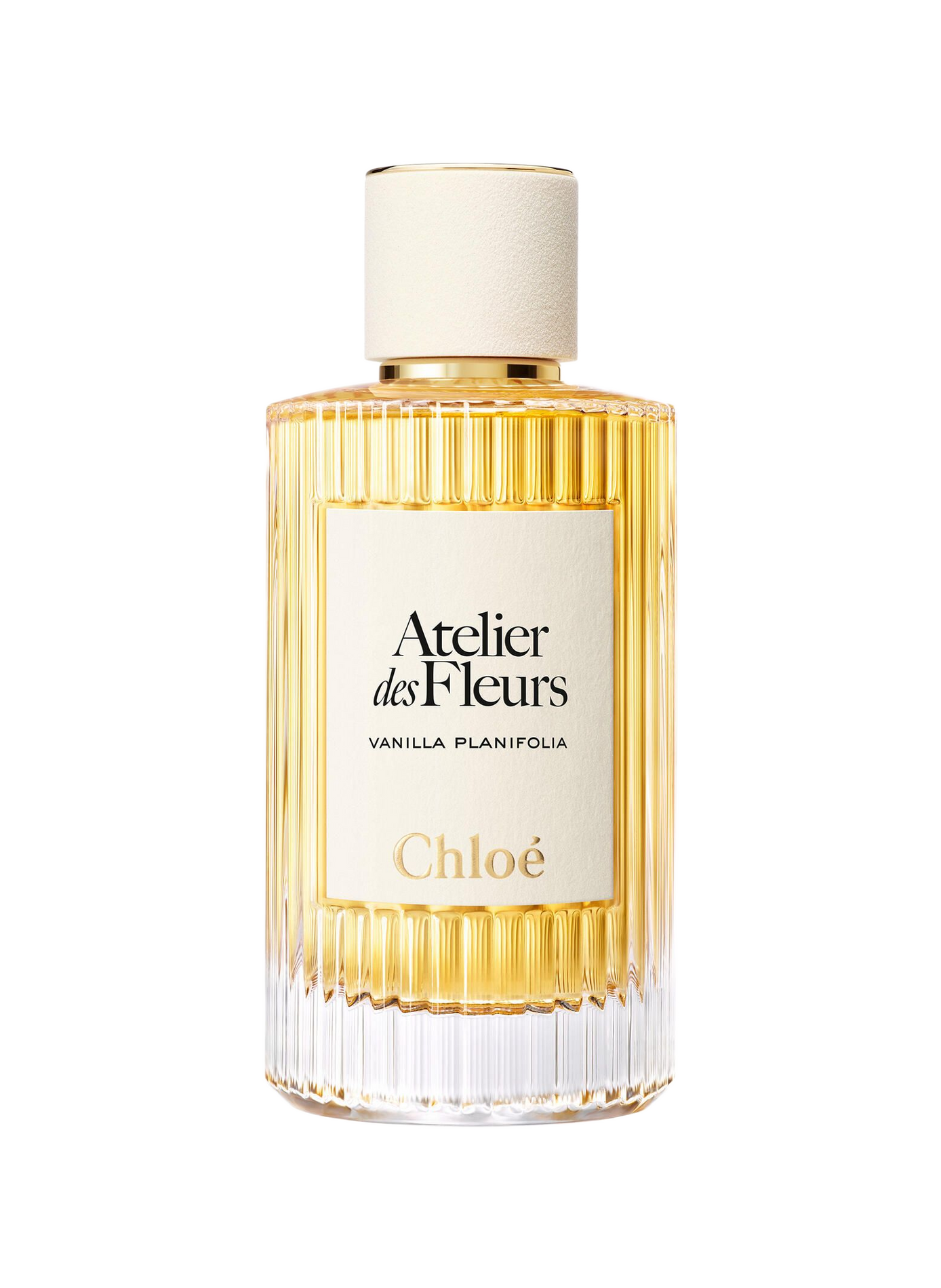 Chloé Atelier des Fleurs - Vanilla Planifolia - Eau de Parfum CHLOE ATELIER DES FLEURS No color