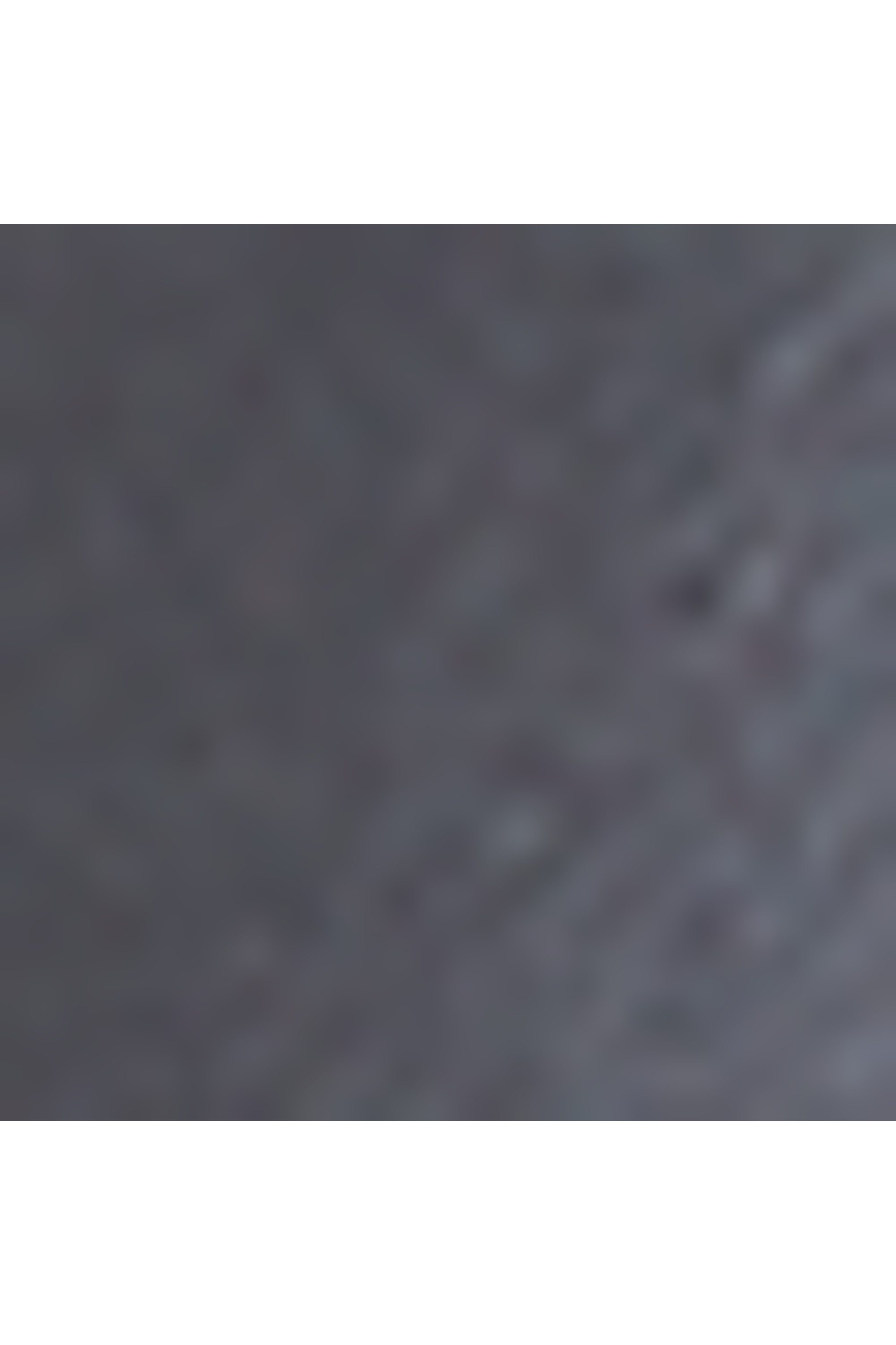 19 degree valise 4 roues taille s TUMI Gris