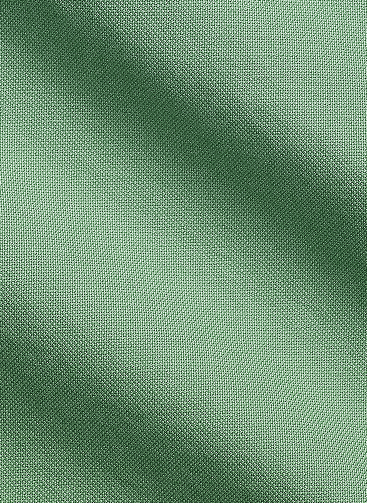 Chemise en coton  POLO RALPH LAUREN Vert