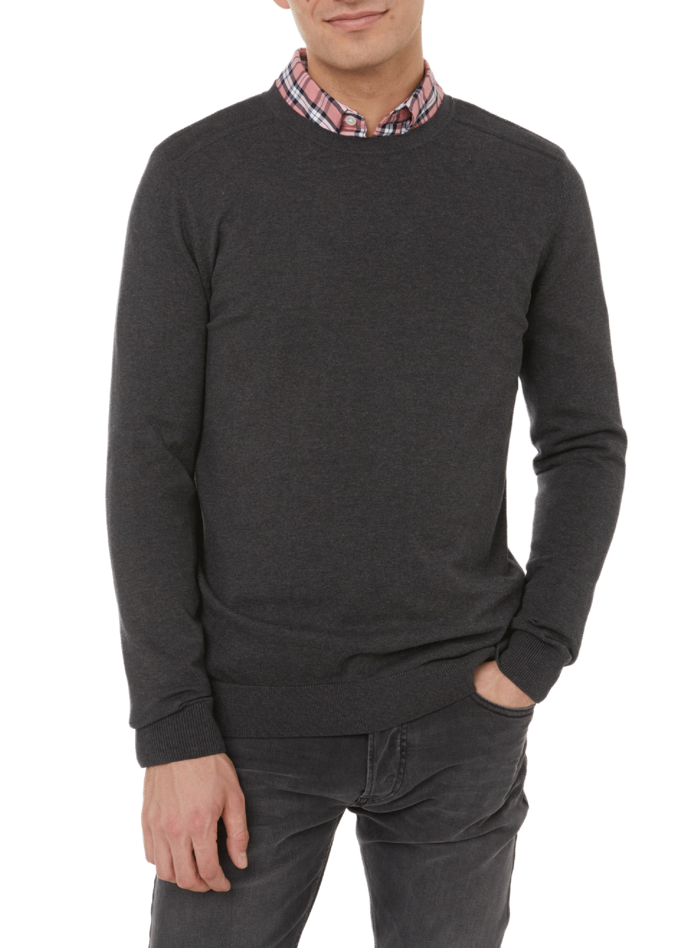SELECTED Pima cotton jumper Grey