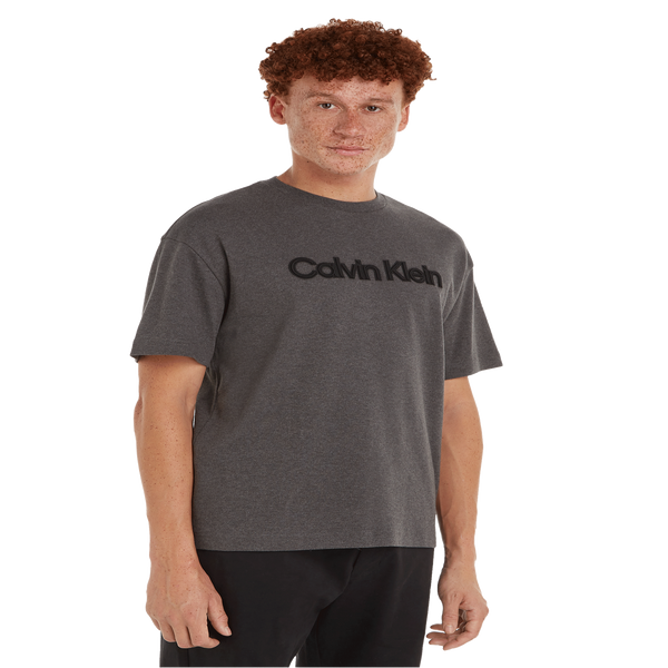 Calvin Klein Logo T-shirt In Gray
