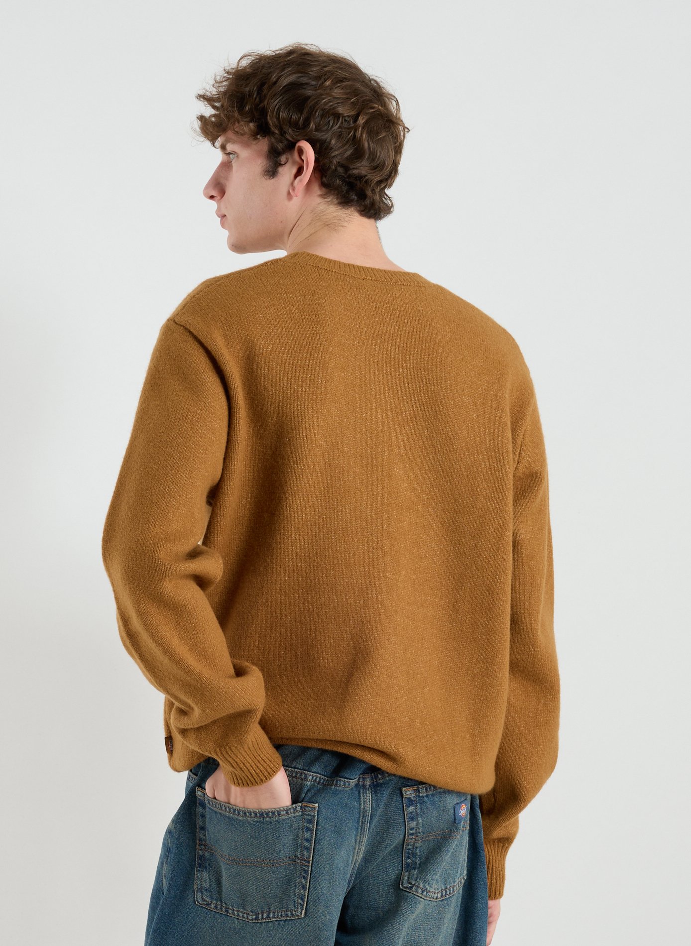 Oversized printed sweatshirt DICKIES Brown