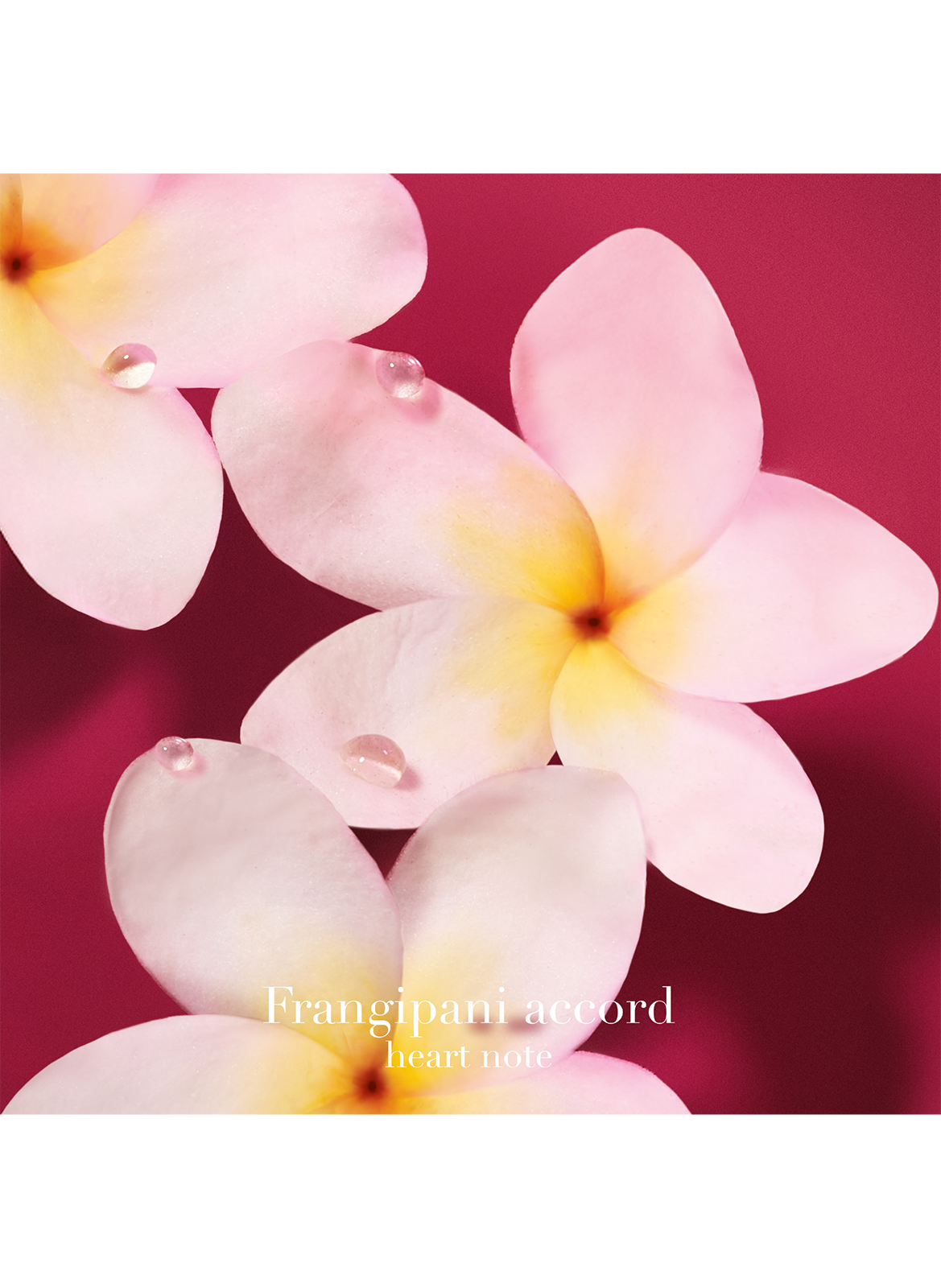 Power of You - Amber fruity floral Eau de Parfum for women ARMANI No color