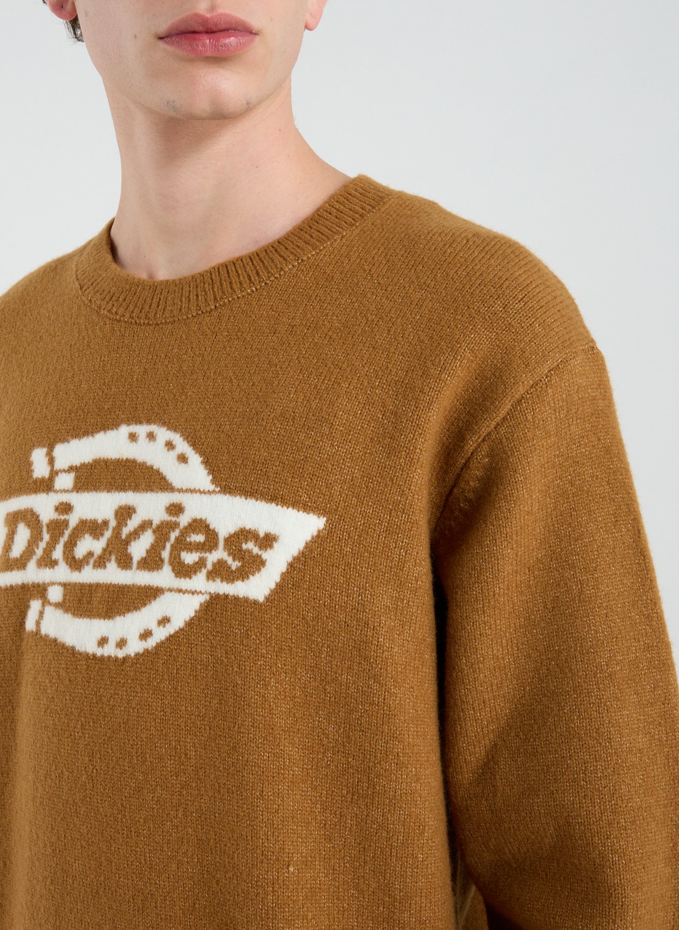 Oversized printed sweatshirt DICKIES Brown
