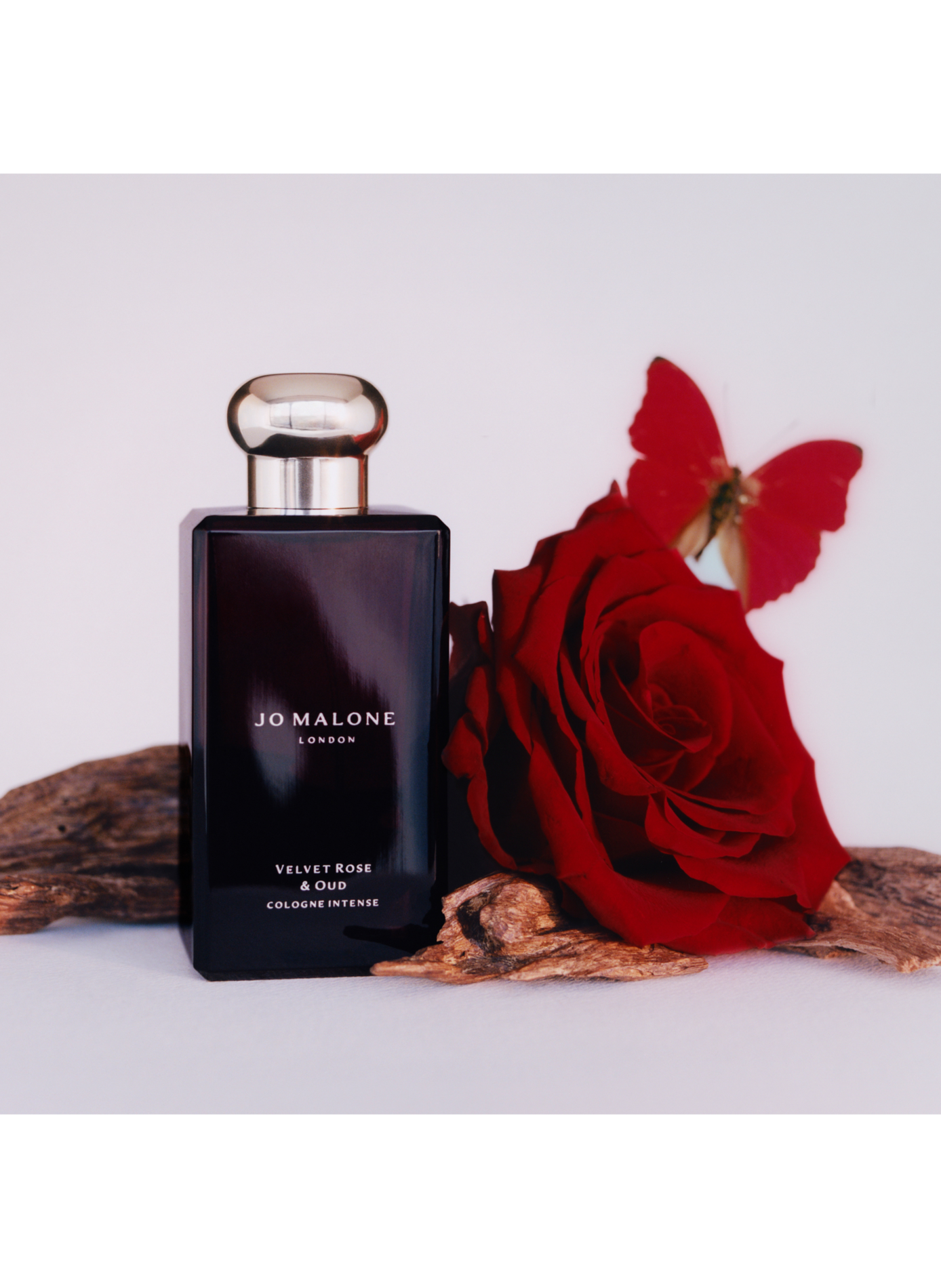 Velvet Rose & Oud - Cologne Intense JO MALONE LONDON No color