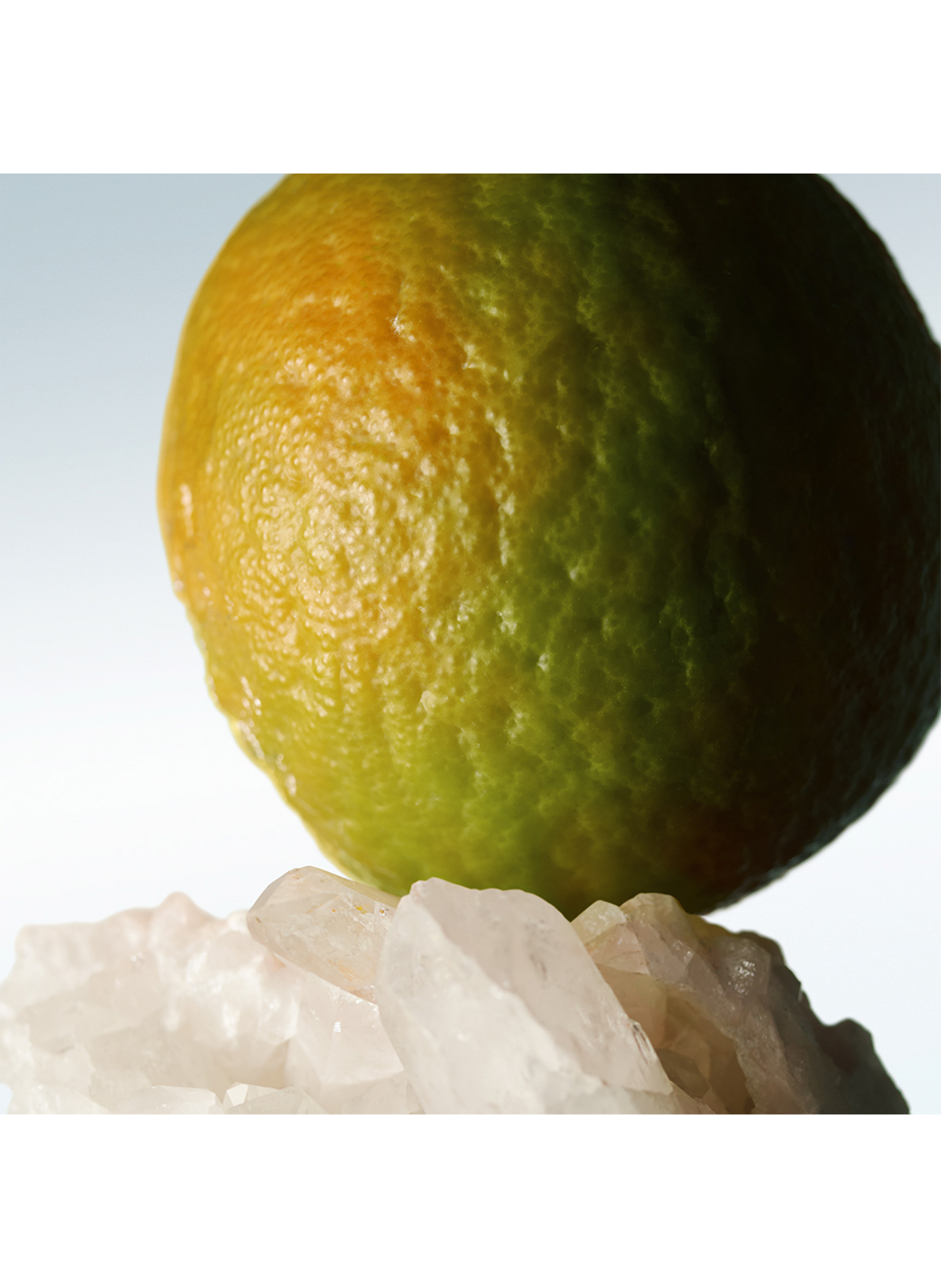 Mystic Moss Cologne - Eau de toilette DRIES VAN NOTEN No color