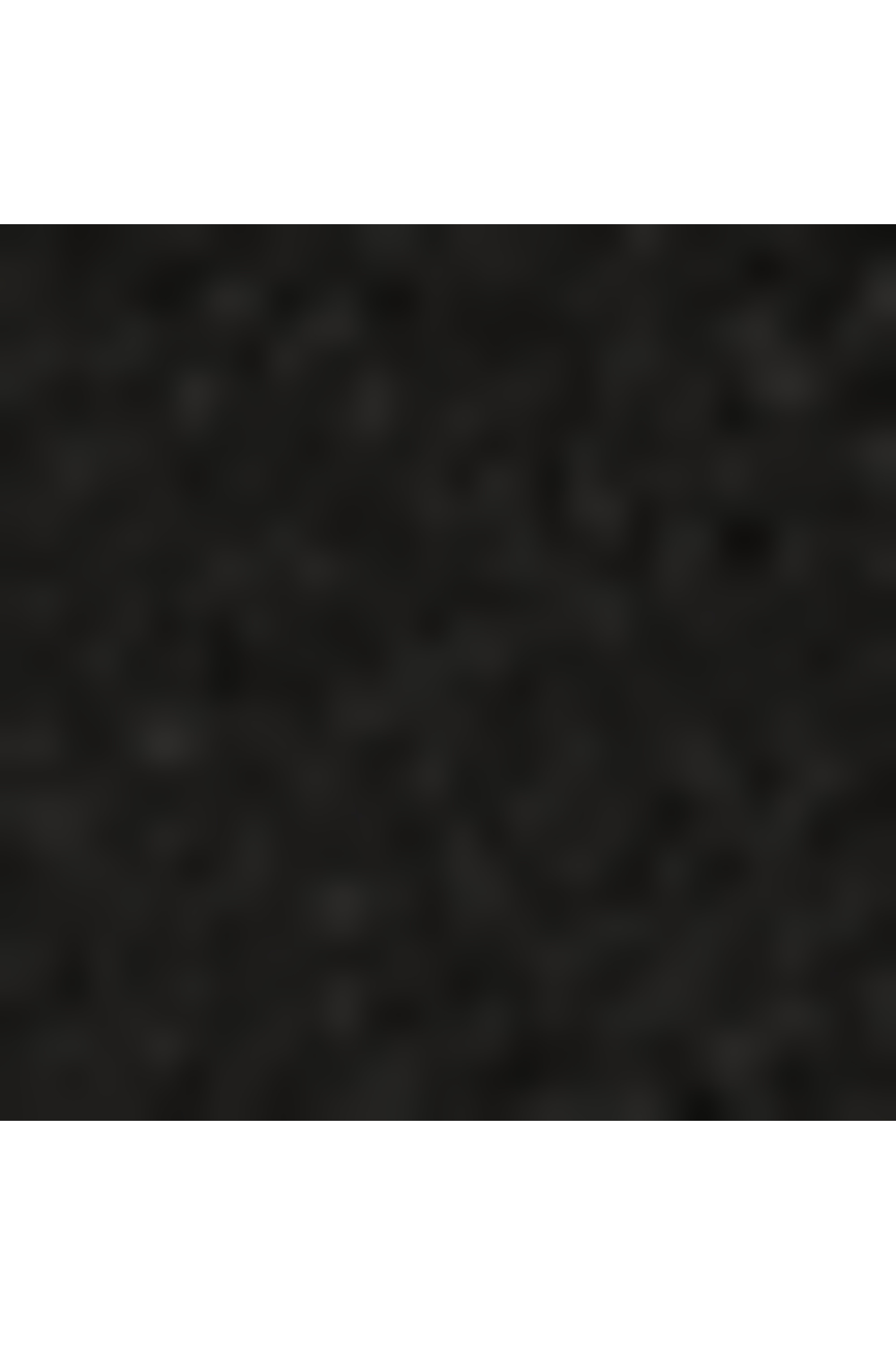 Voyageur sac à dos taille S Noir