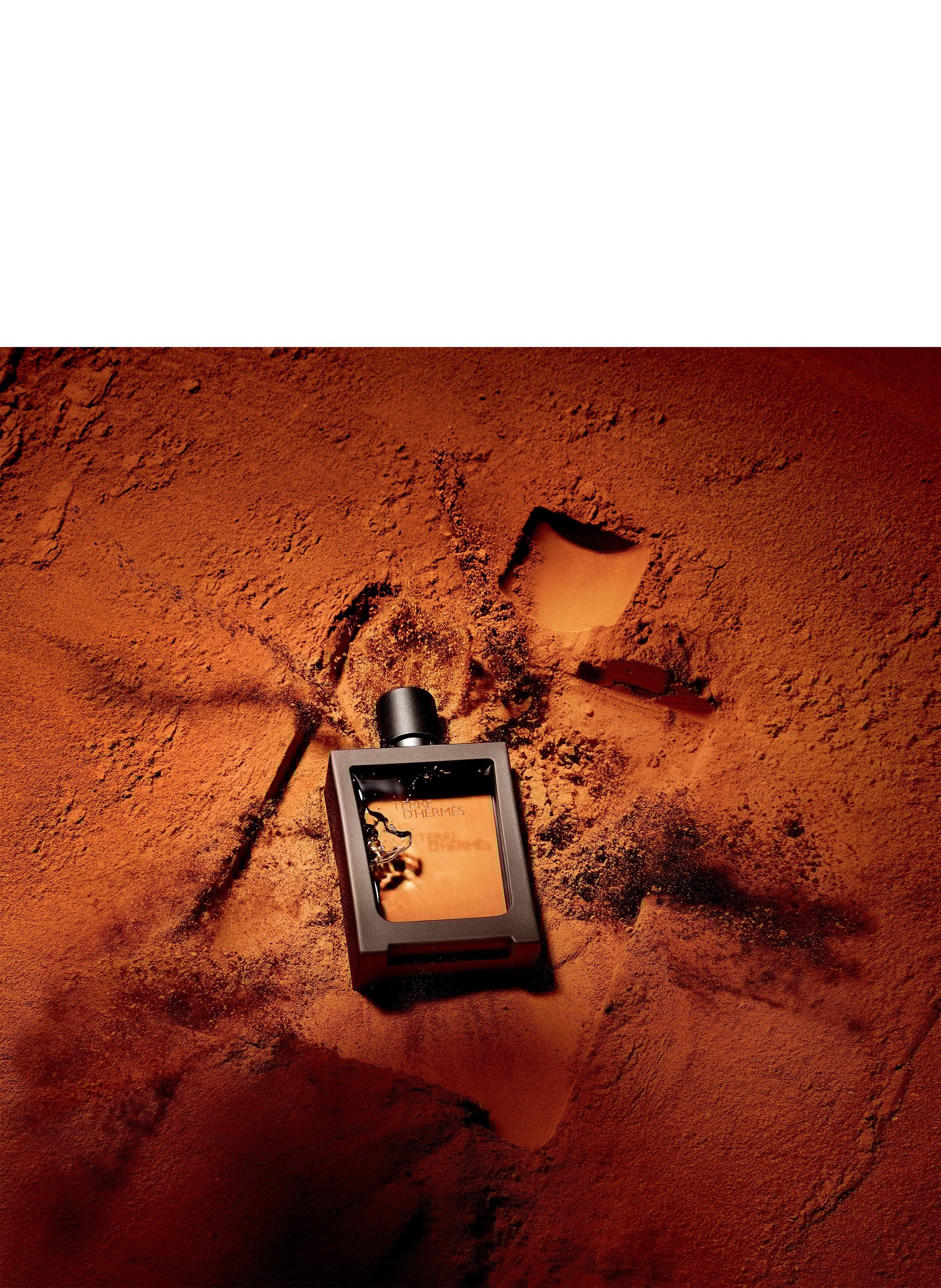 Terre d&#039;Hermès, Eau de toilette, travel Spray 30 ml (1 fl oz) and its refill 125 ml (4.2 fl oz) HERMÈS No color