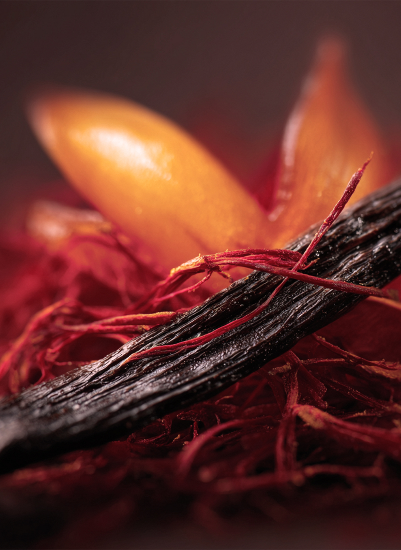 Eau de Parfum -  Red Hot Vanilla L'ATELIER PARFUM No color