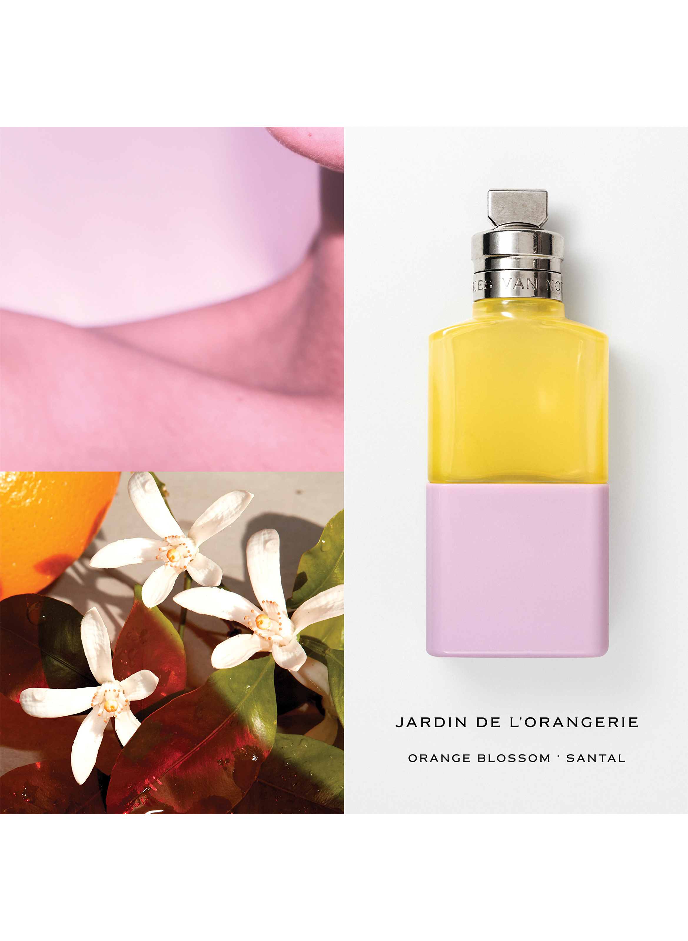 Jardin de l&#039;Orangerie - eau de parfum DRIES VAN NOTEN No color
