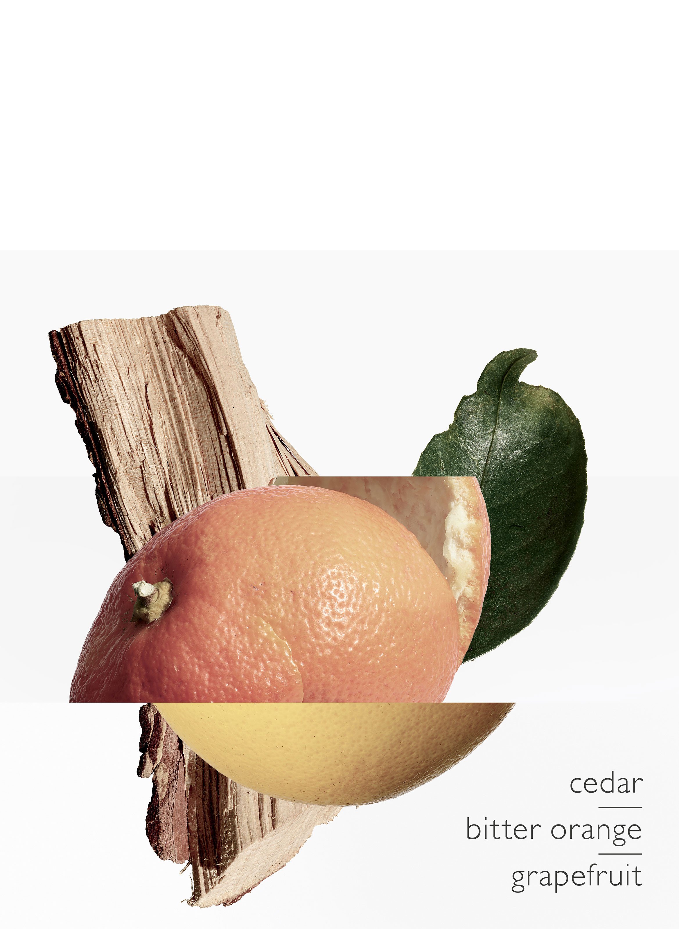 Terre d&#039;Hermès, Eau de toilette, travel Spray 30 ml (1 fl oz) and its refill 125 ml (4.2 fl oz) HERMÈS No color