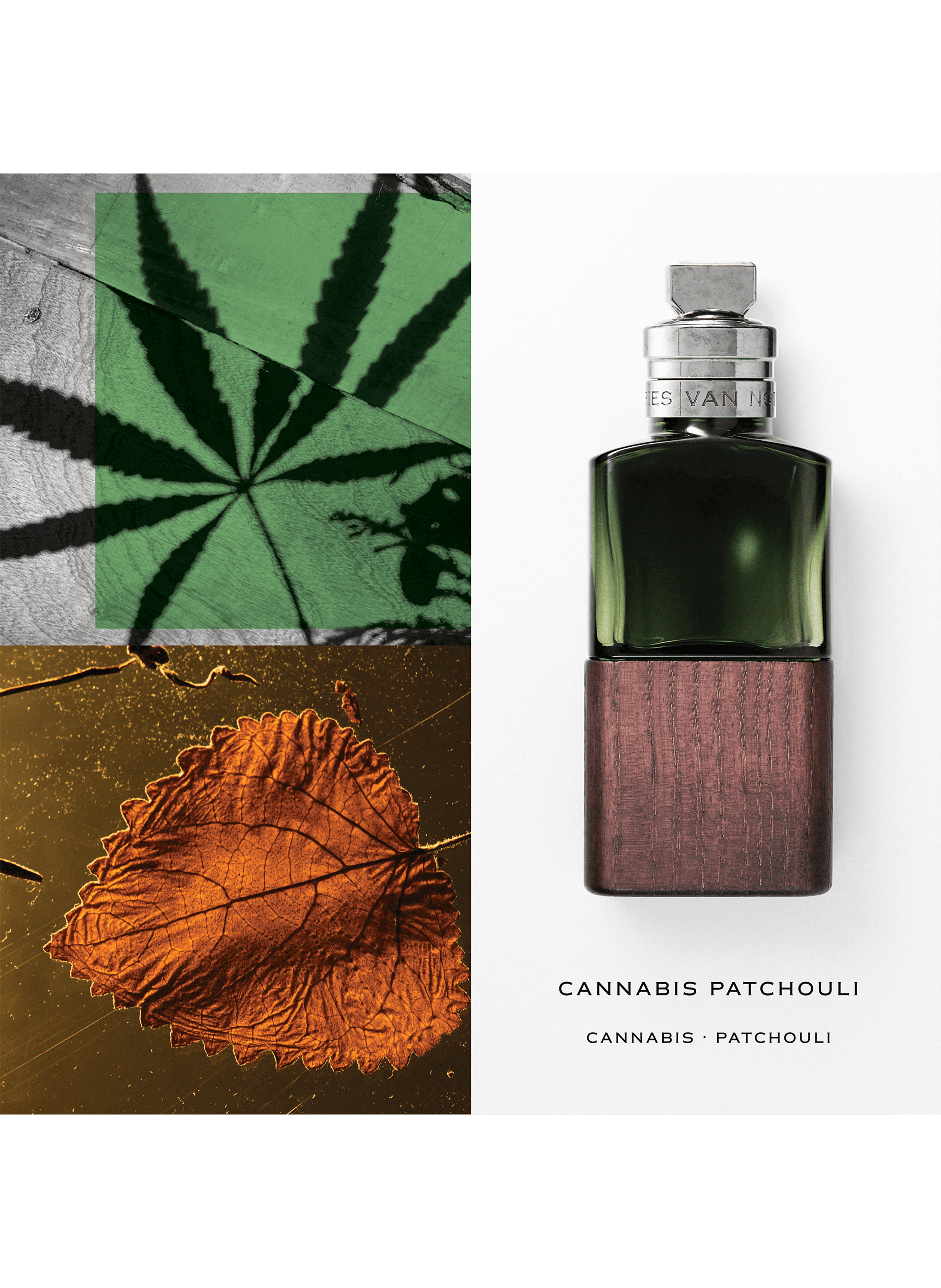 Cannabis Patchouli - eau de parfum DRIES VAN NOTEN No color