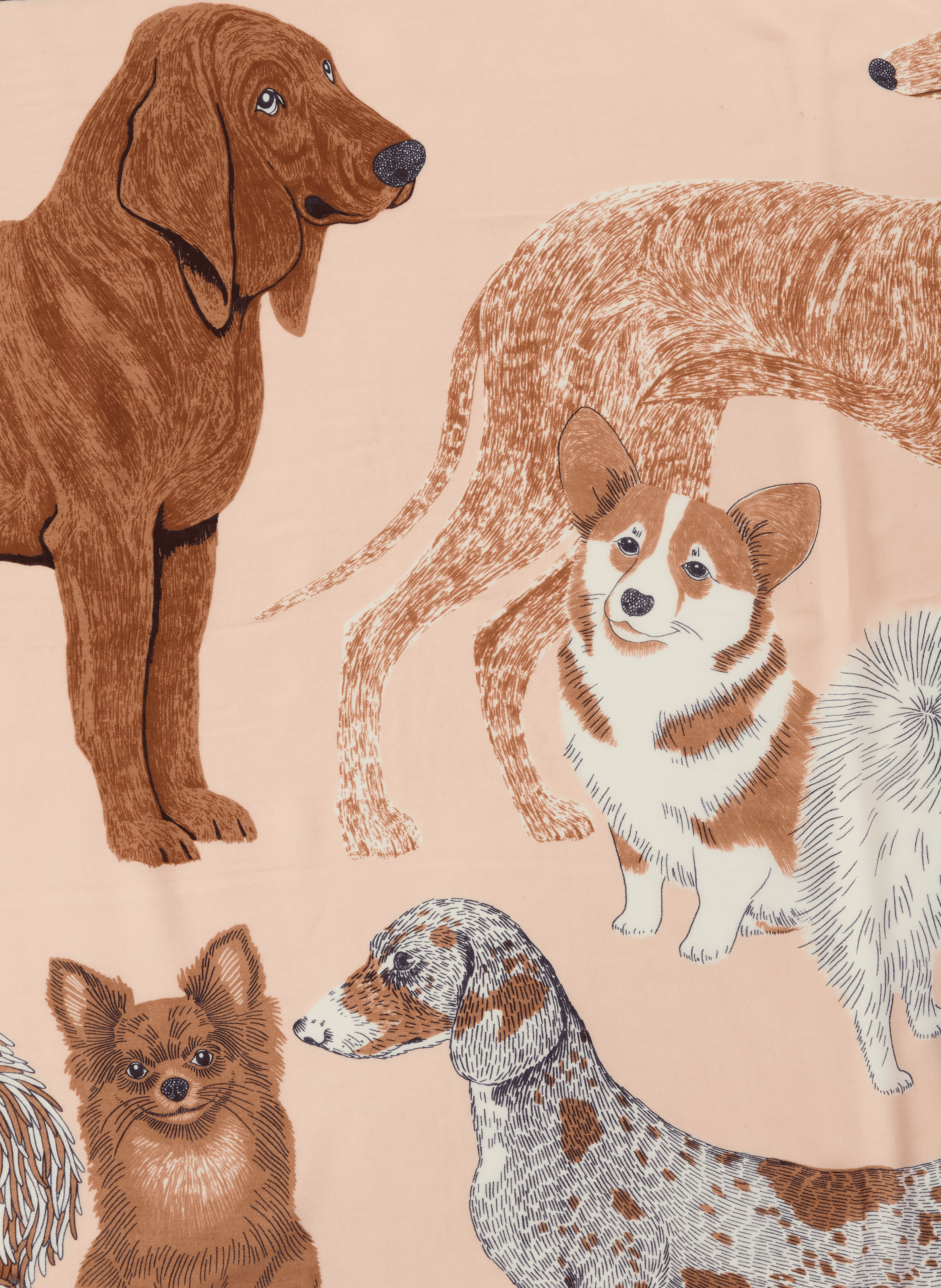 Écharpe à imprimé en laine INOUITOOSH Multicolore