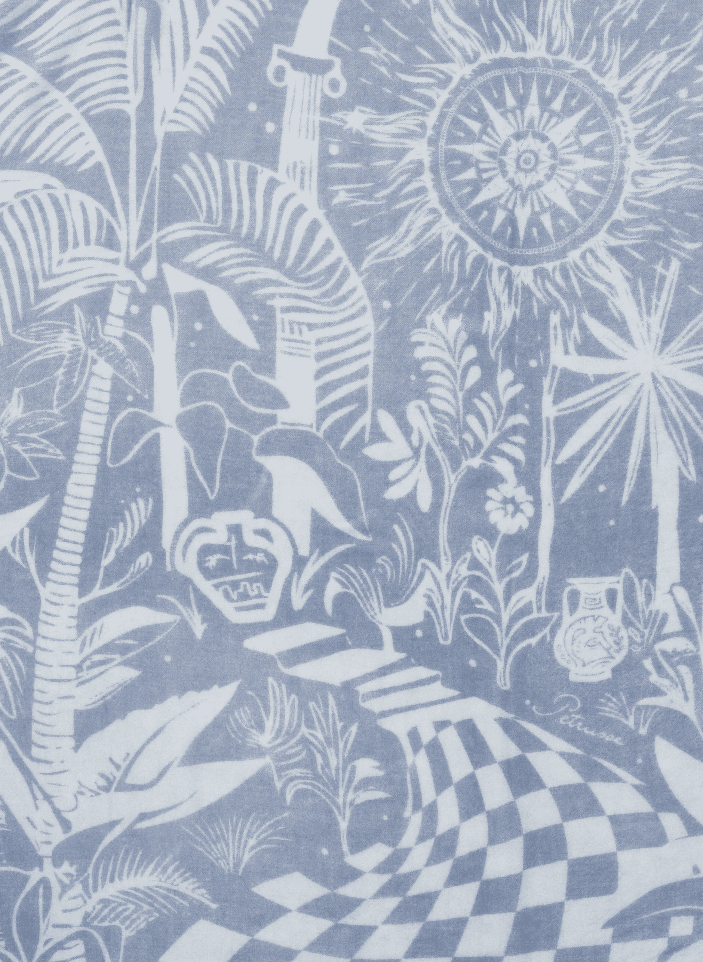 Echarpe imprimé en cachemire PETRUSSE Bleu