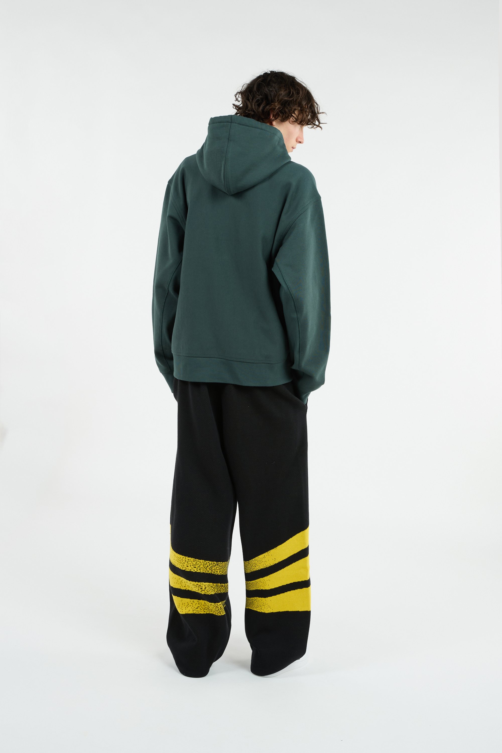 Hoodie american script CARHARTT WIP Vert