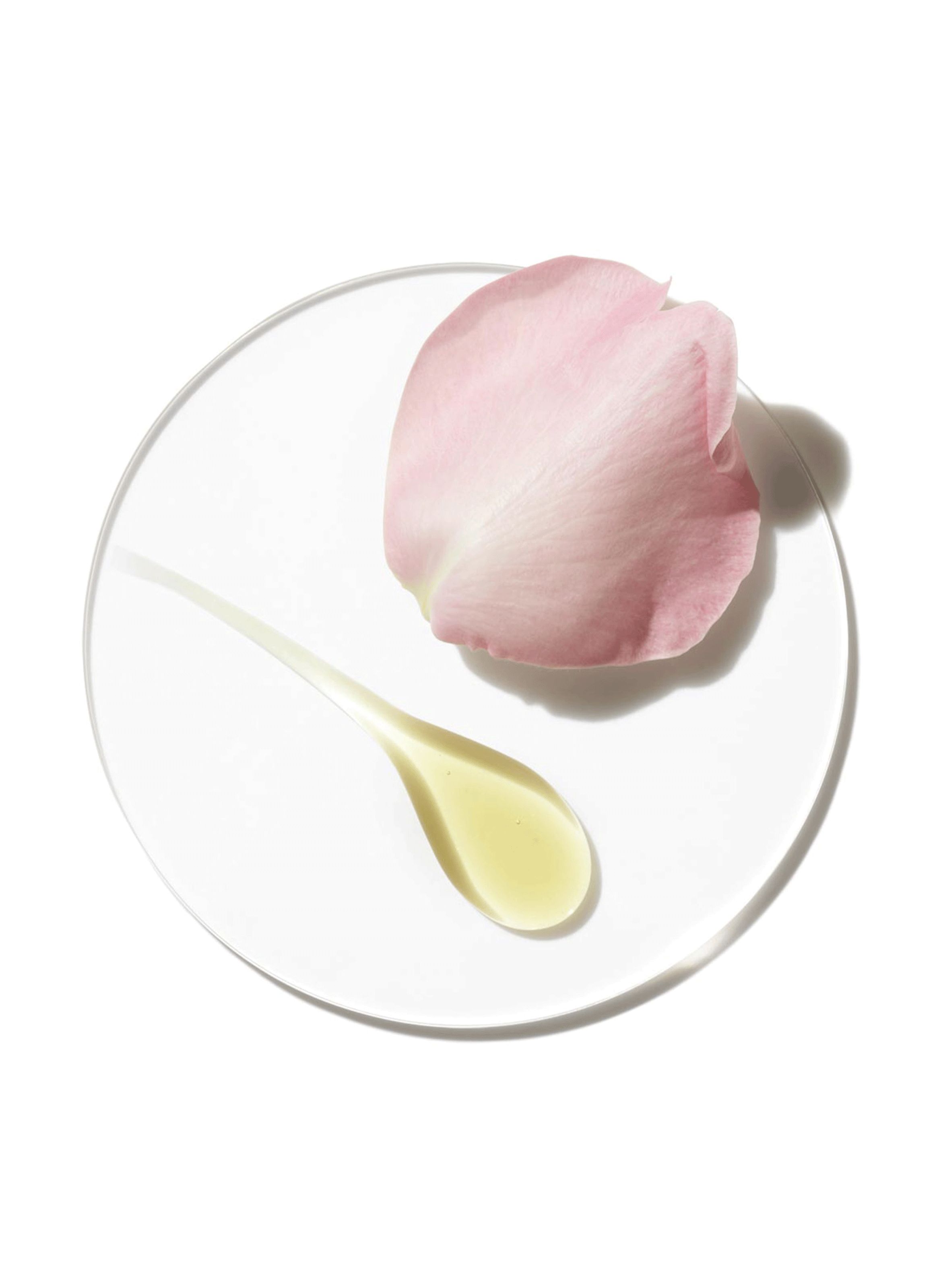 Aromatics Elixir - Eau de Parfum CLINIQUE No color