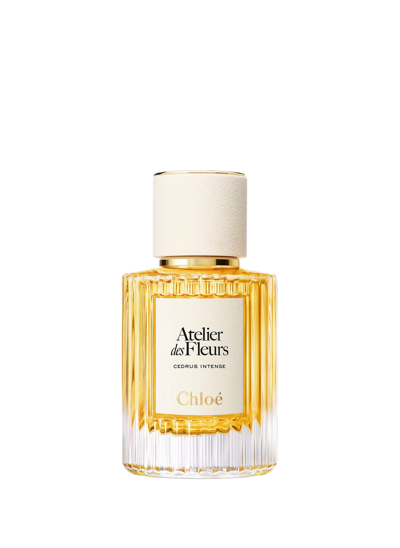 Chloé Atelier des Fleurs - Cedrus Intense - Eau de Parfum CHLOE ATELIER DES FLEURS No color