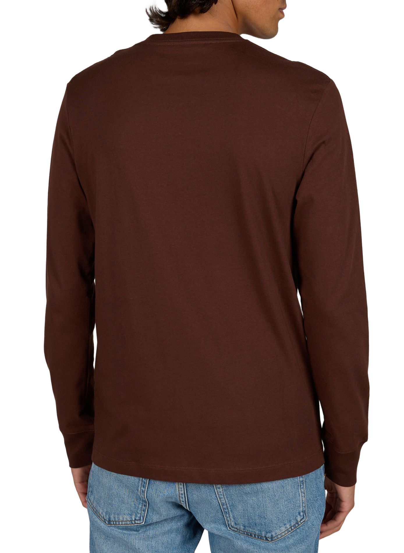 Straight T-shirt with embroidered logo in cotton TIMBERLAND Brown