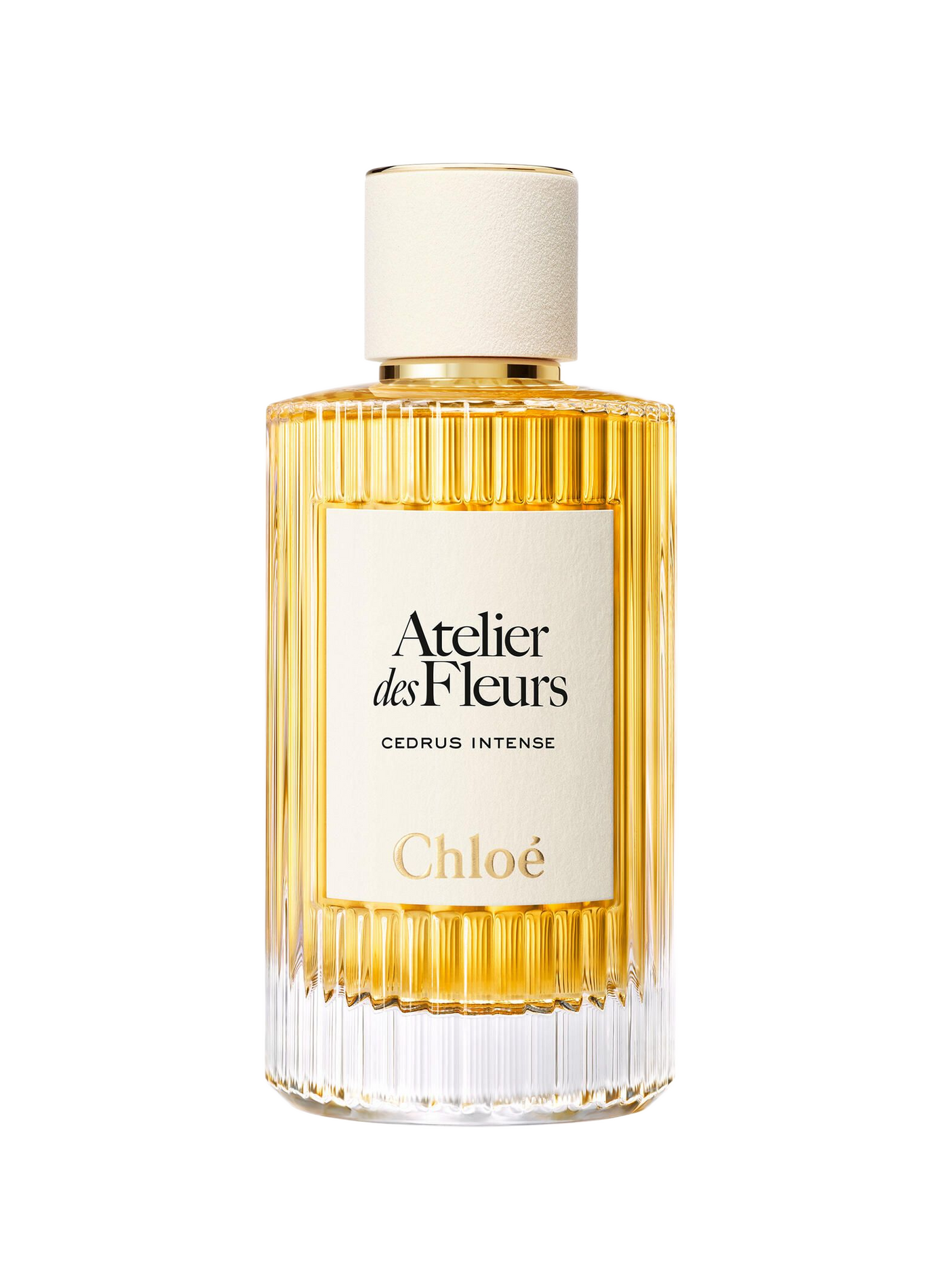 Chloé Atelier des Fleurs - Cedrus Intense - Eau de Parfum CHLOE ATELIER DES FLEURS No color