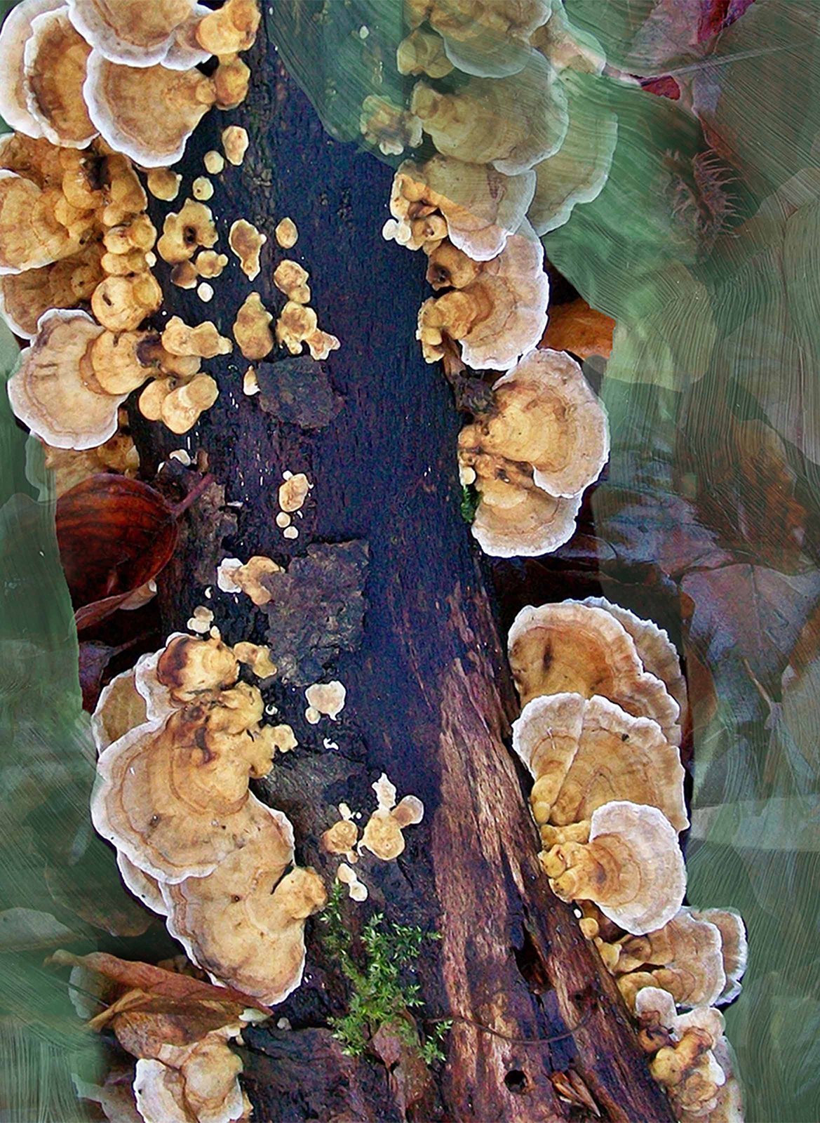 Eau de Parfum - Oud Immortel BYREDO No color