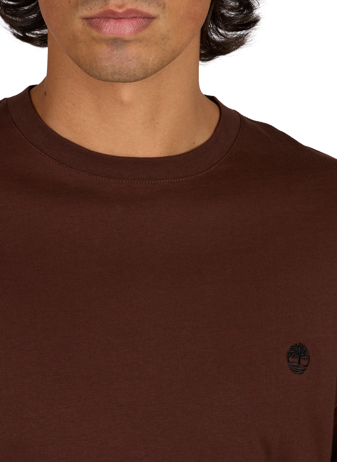 Straight T-shirt with embroidered logo in cotton TIMBERLAND Brown