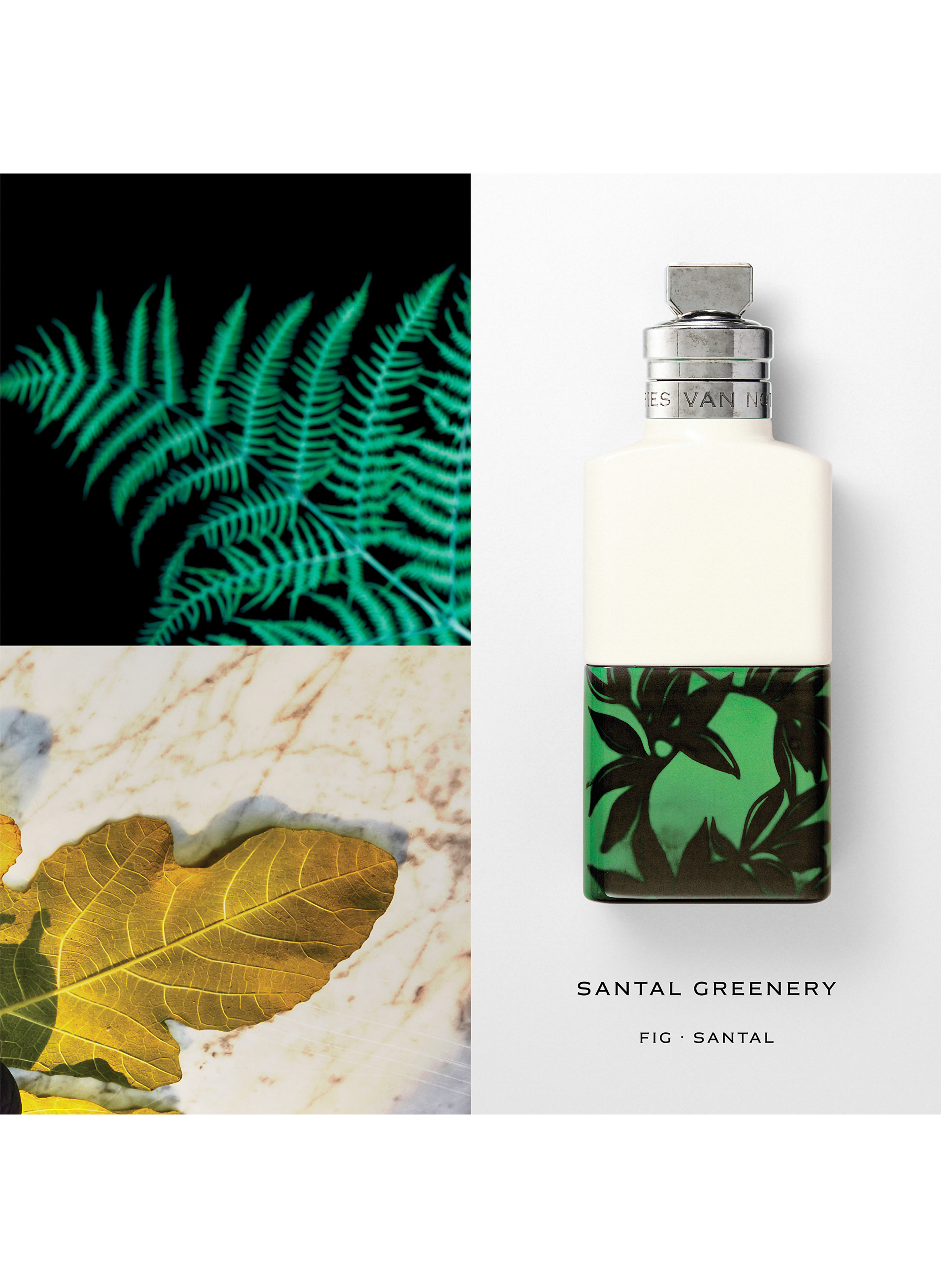 Santal Greenery - eau de parfum DRIES VAN NOTEN No color