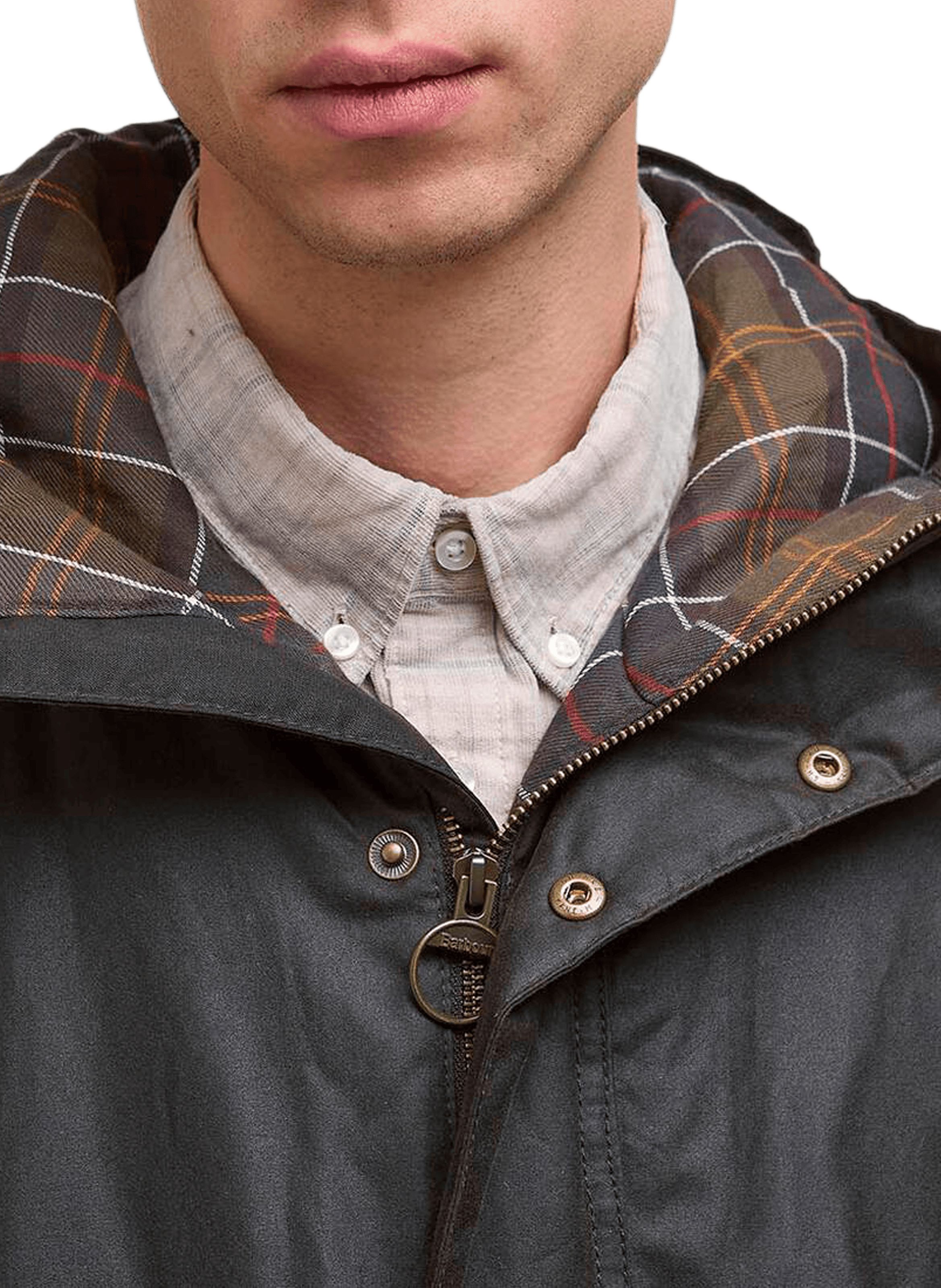 Parka mi-longue à capuche en coton BARBOUR Vert