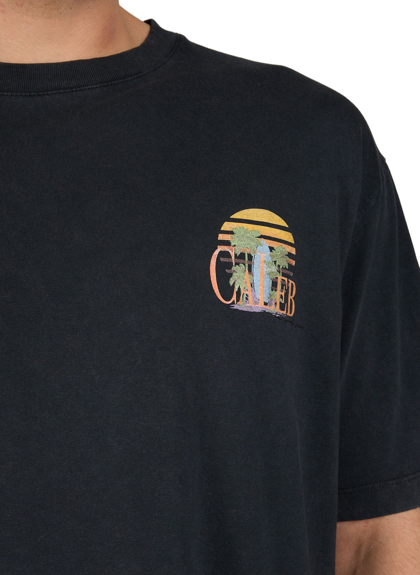 Maglietta stampata con scollo tondo in cotone CALEB Grigio