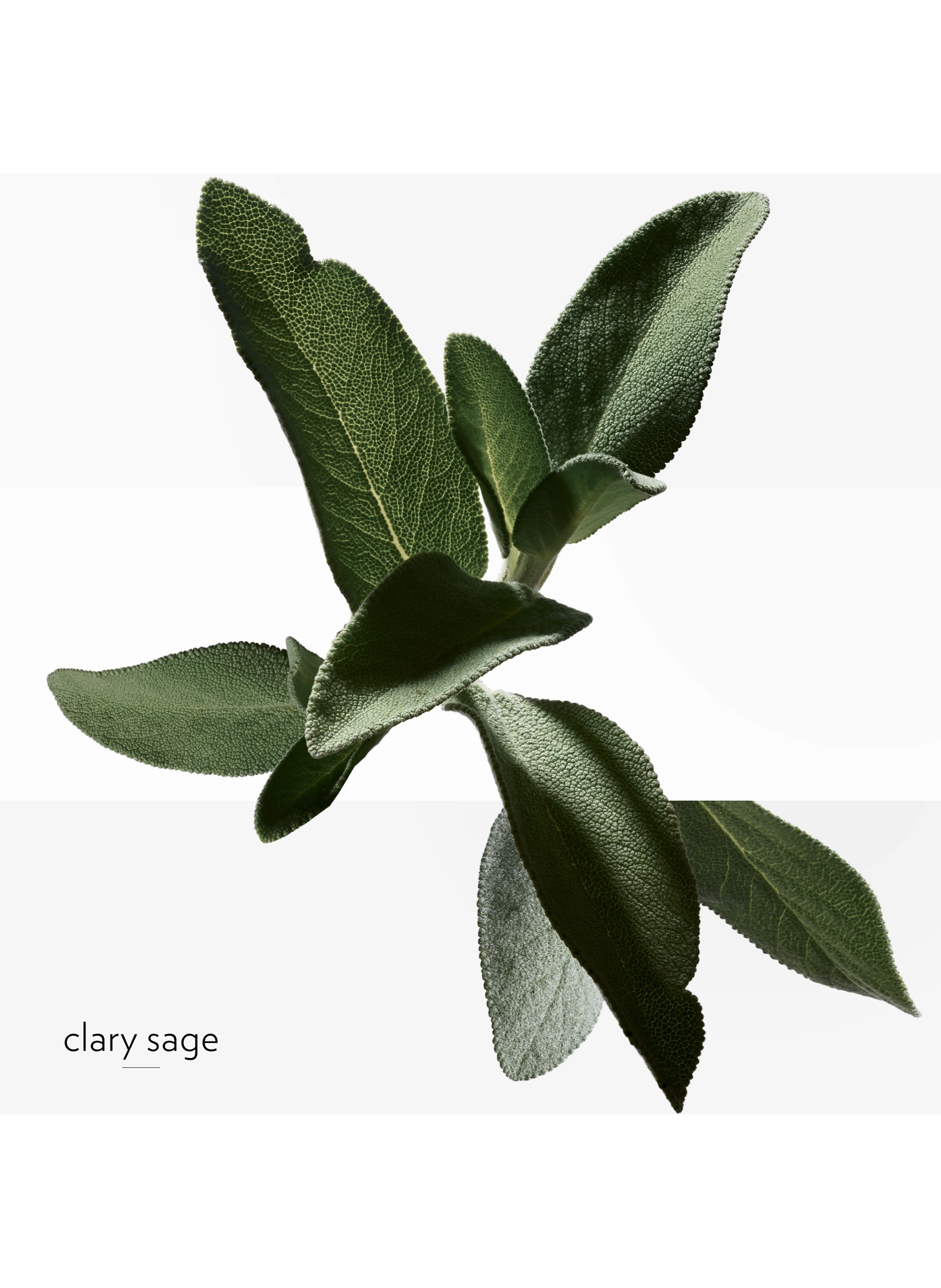 H24 hydrating and energising face moisturiser HERMÈS No color