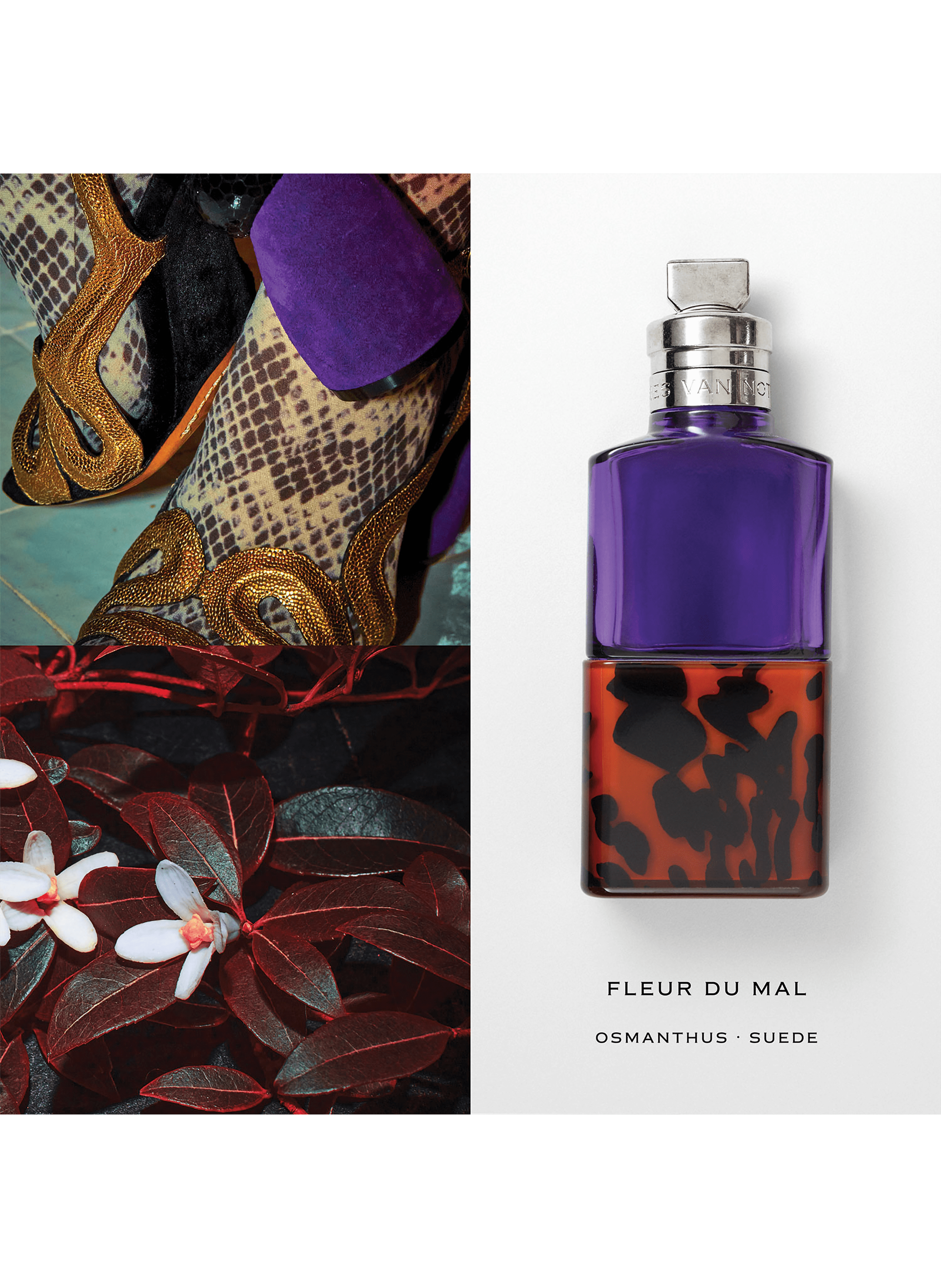 Fleur du Mal - Eau de Parfum DRIES VAN NOTEN No color