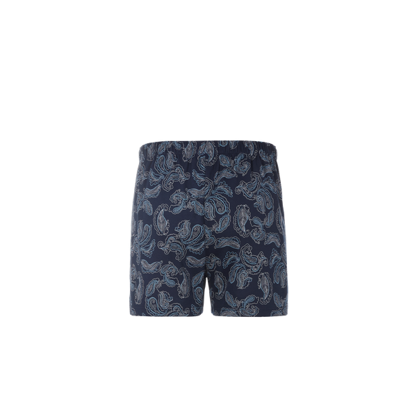 Hanro Printed Cotton Boxer Shorts In Blue