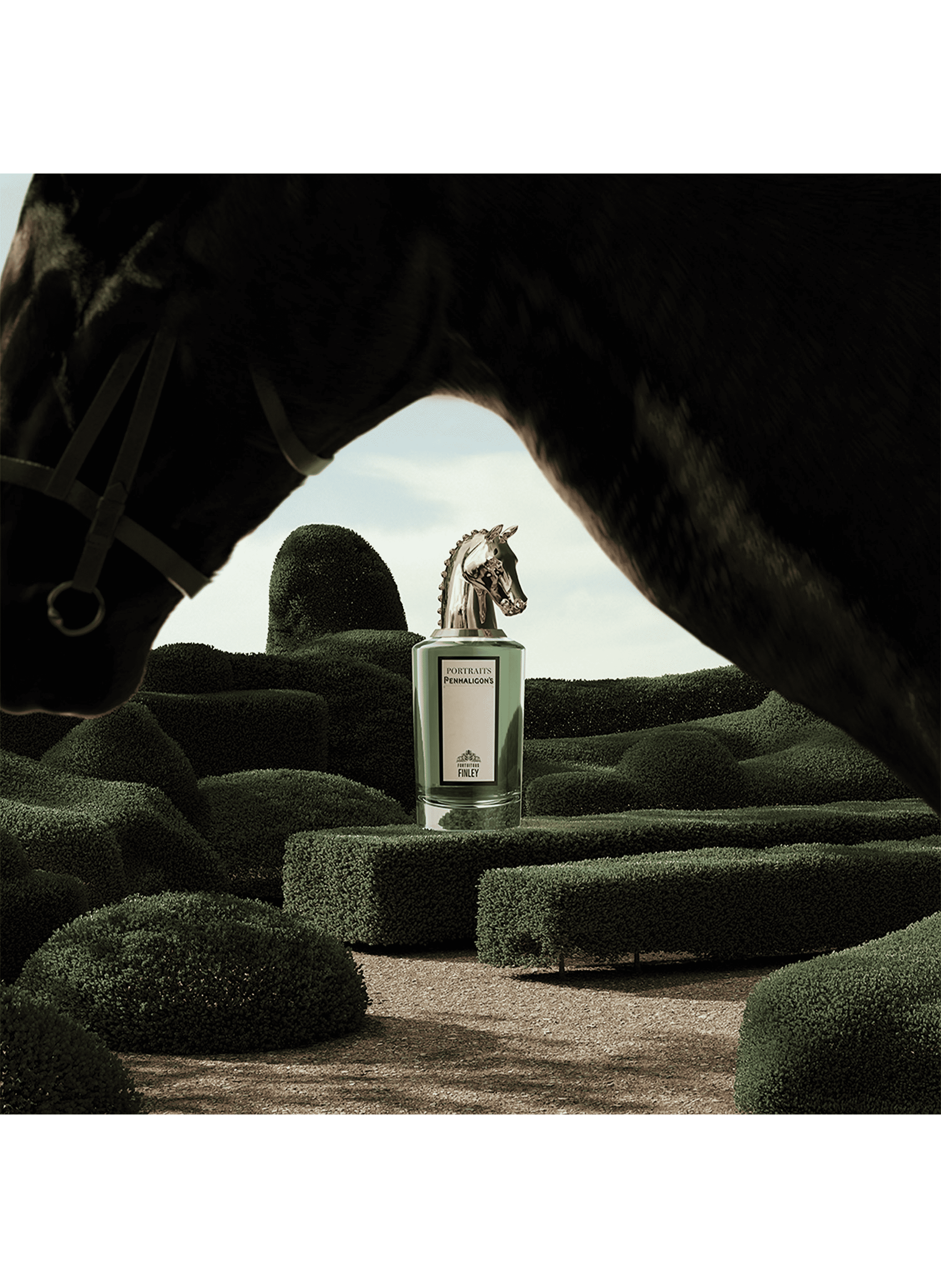 Eau de Parfum - Portraits Fortuitous Finley PENHALIGON'S No color