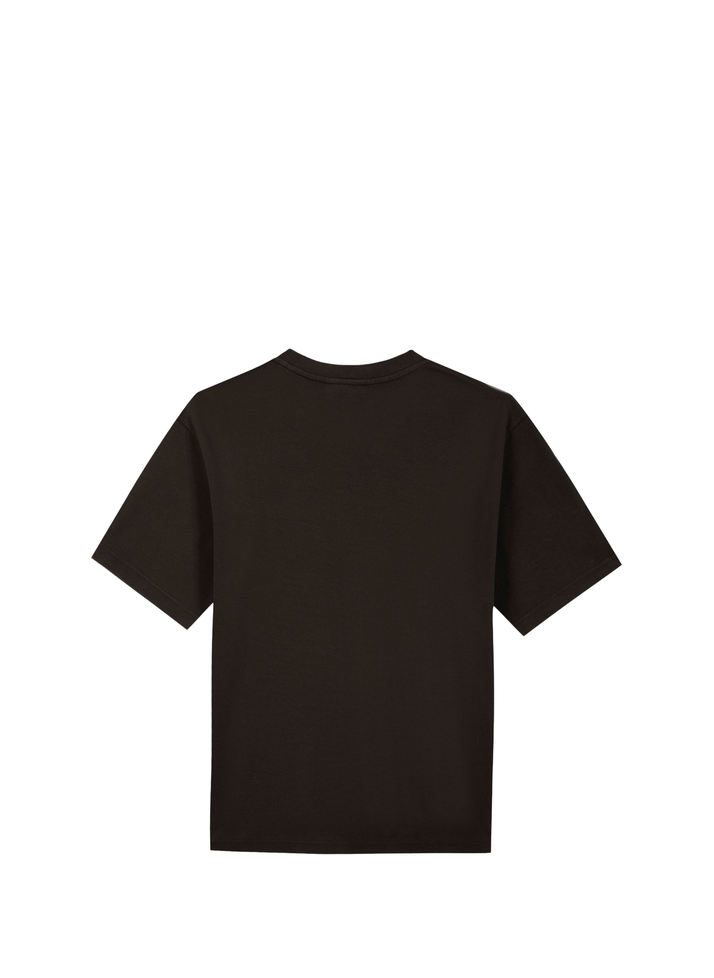 T-shirt Chassaigne MAISON LABICHE Brown