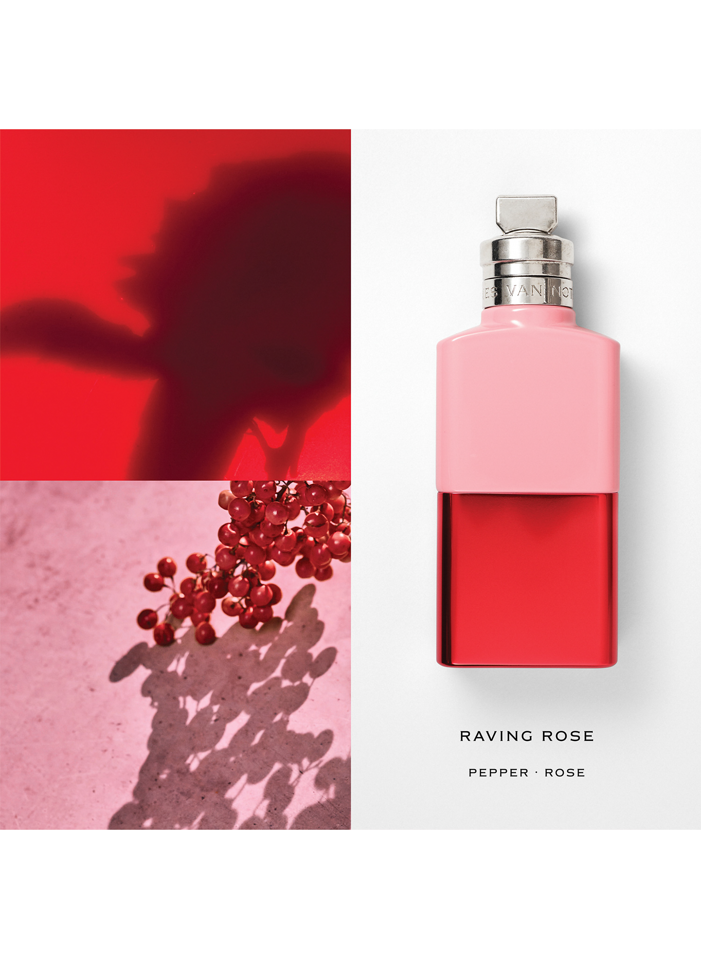 Raving Rose - Eau de parfum DRIES VAN NOTEN No color